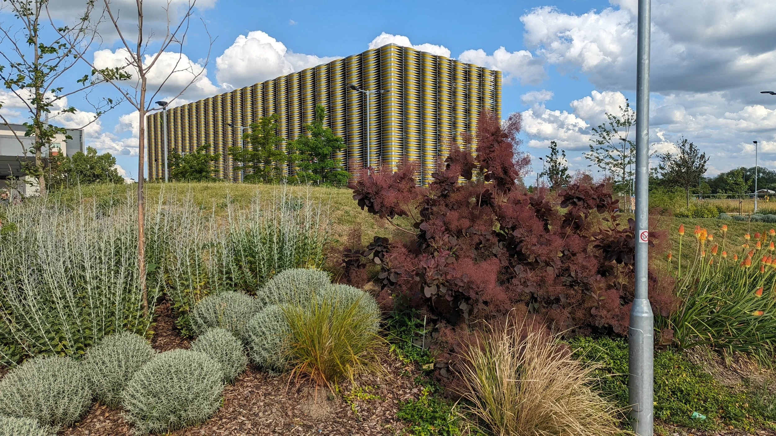 Open Cambridge: A Guided Walk Around the Biomedical Campus