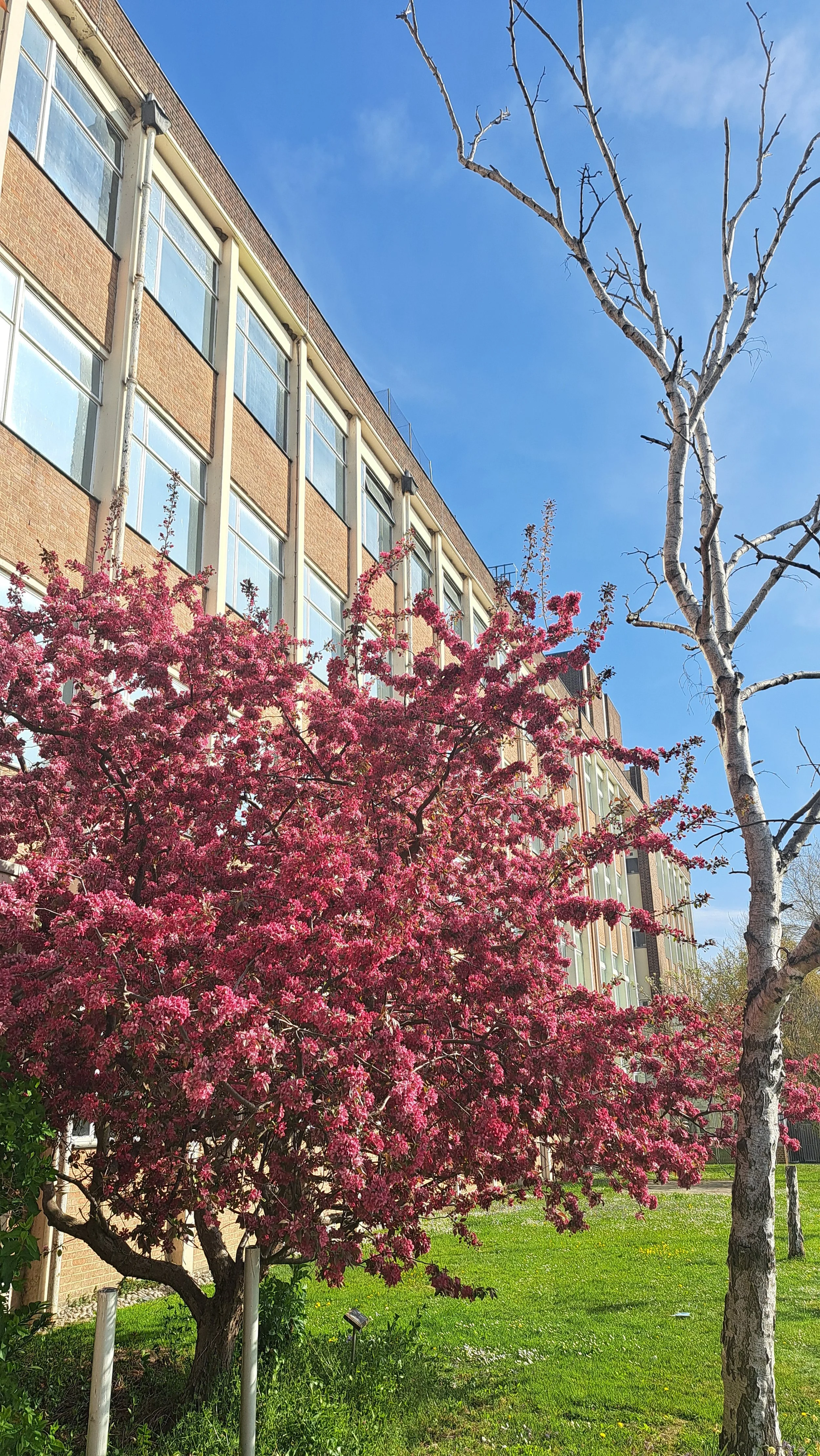 20250412_095454.jpg
