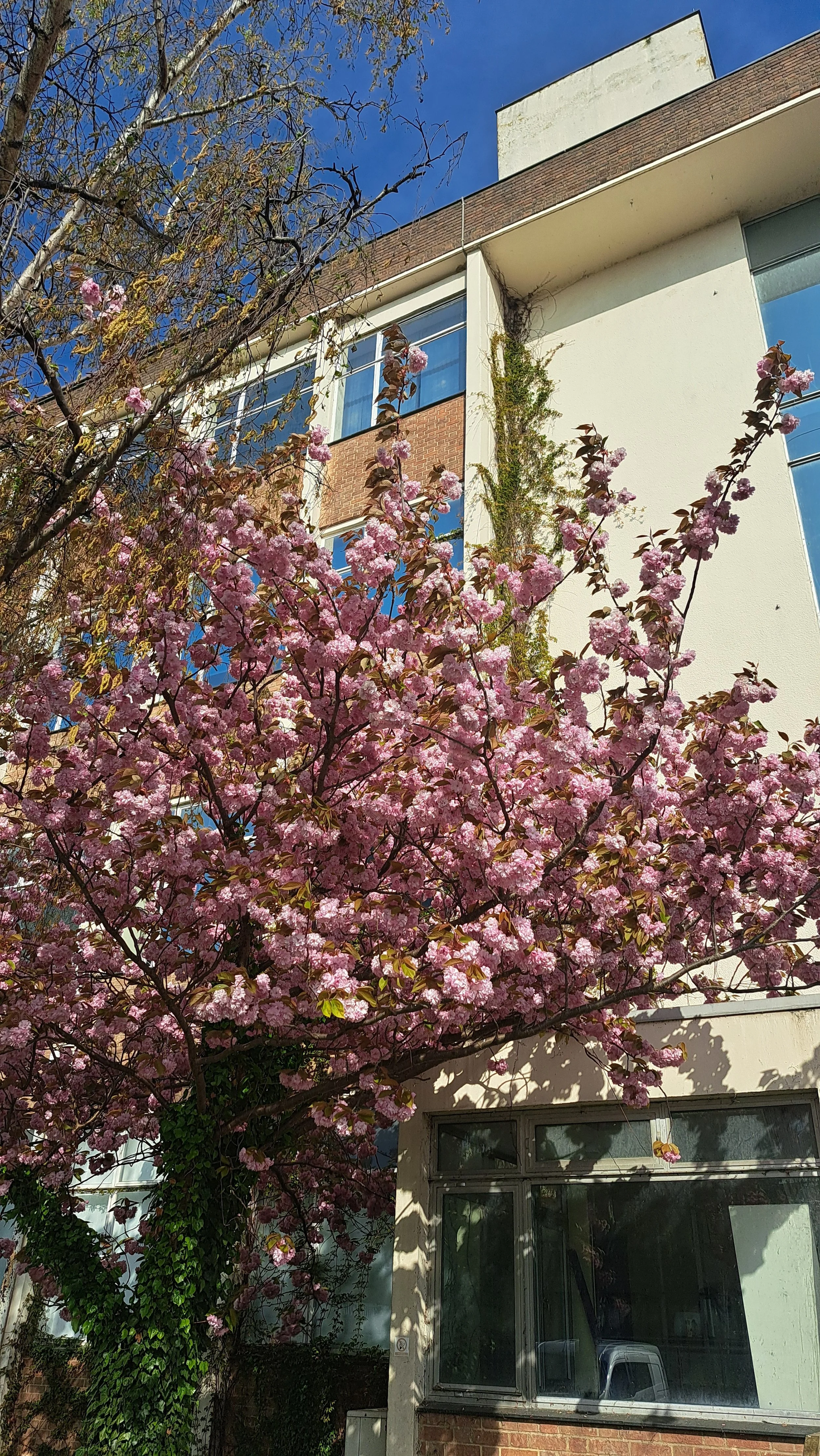 20250412_095524.jpg
