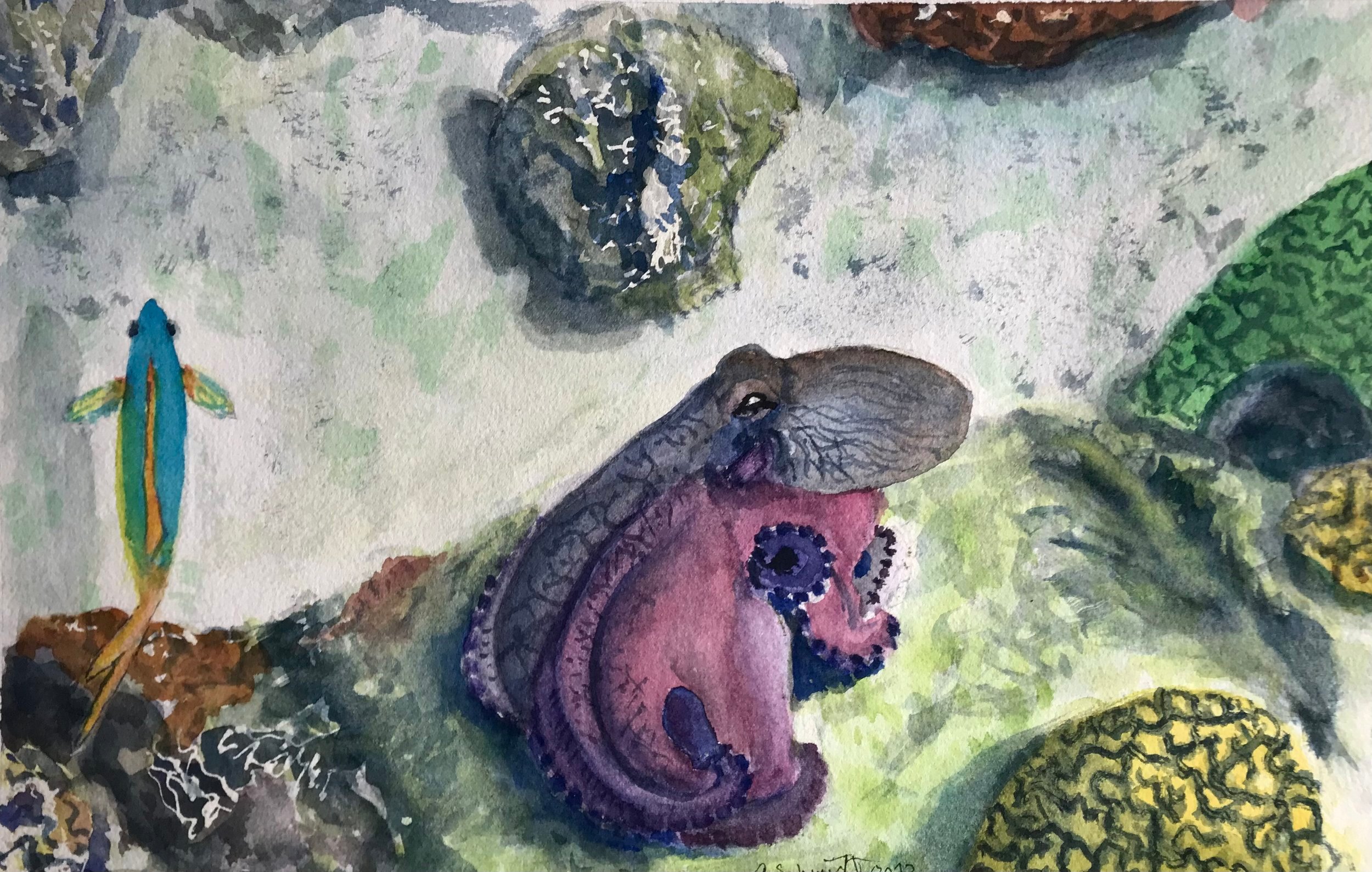 AS_octopus+and+minnow.jpg
