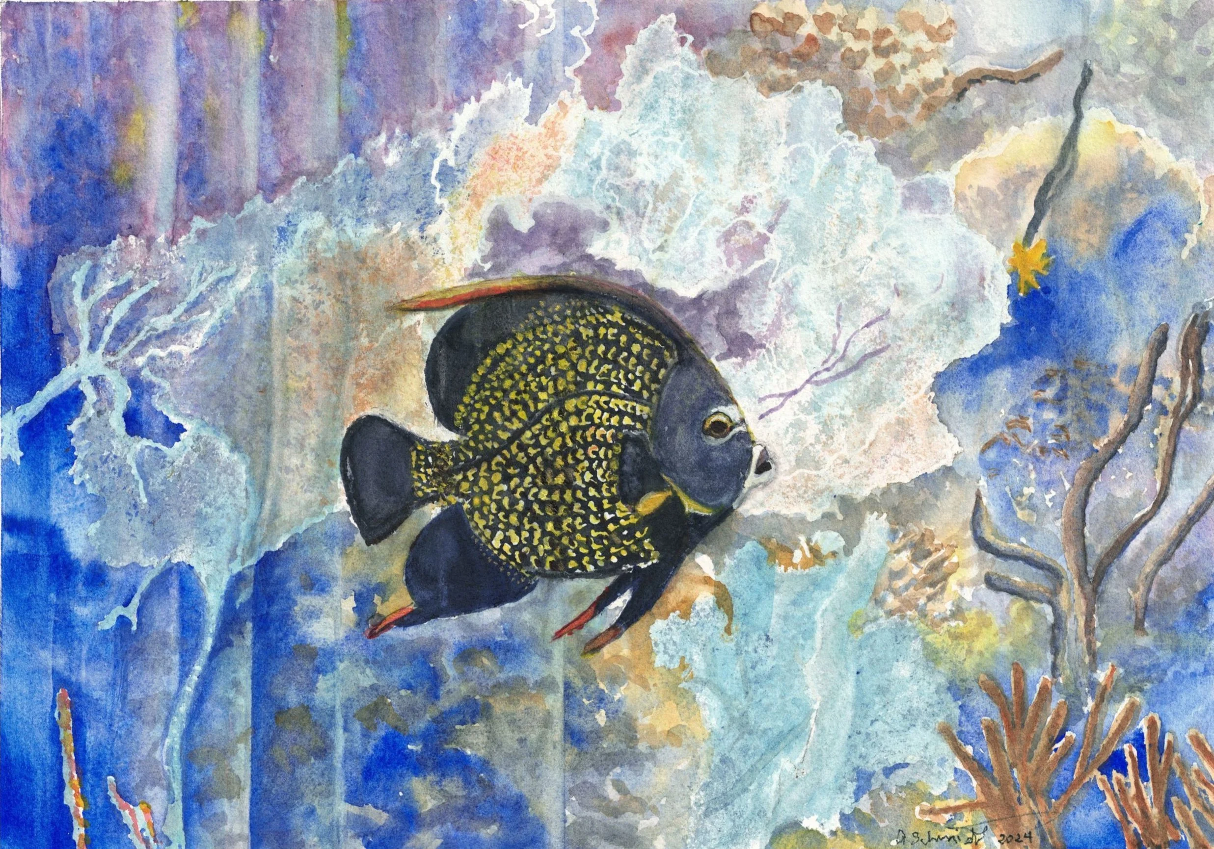 coral and anelfish F.jpg