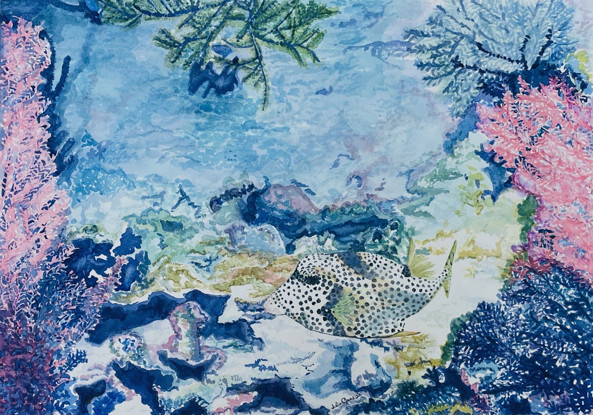 spotted trunk fish.jpg