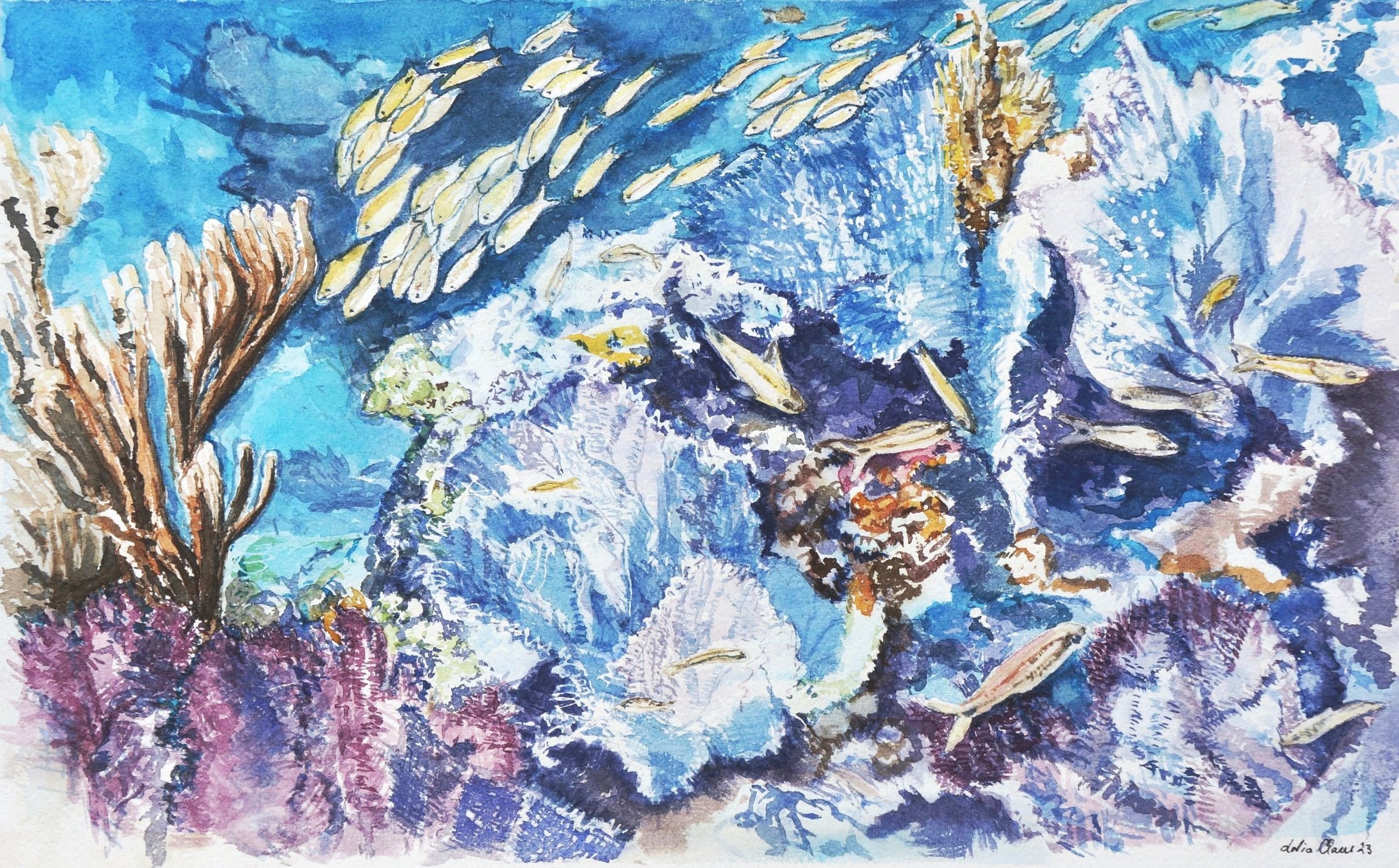 Fan Corals