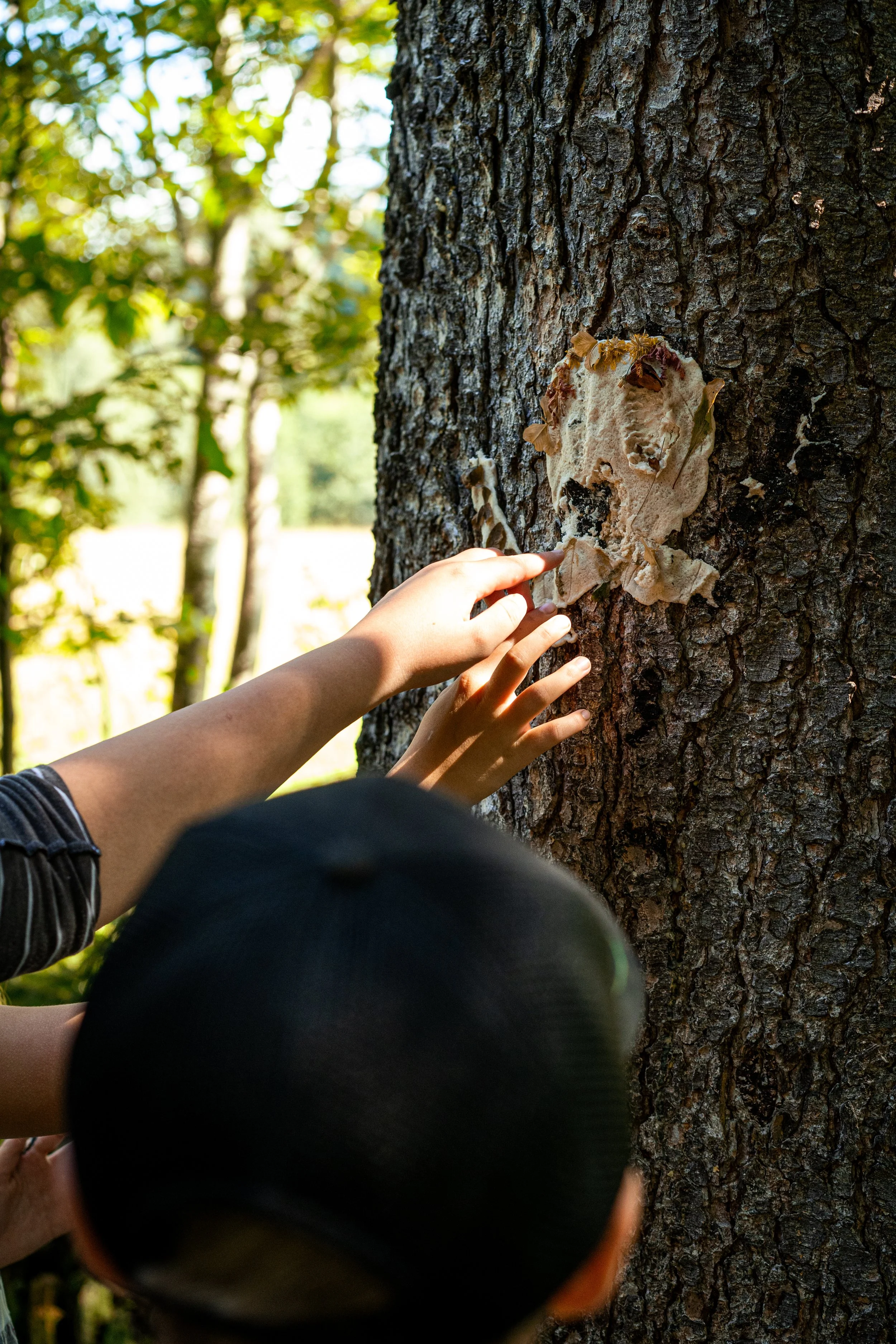 Ederhof-rehabilitationszentrum-organtransplantation-vor-und-nach-organtransplantation-geschwisterangebot