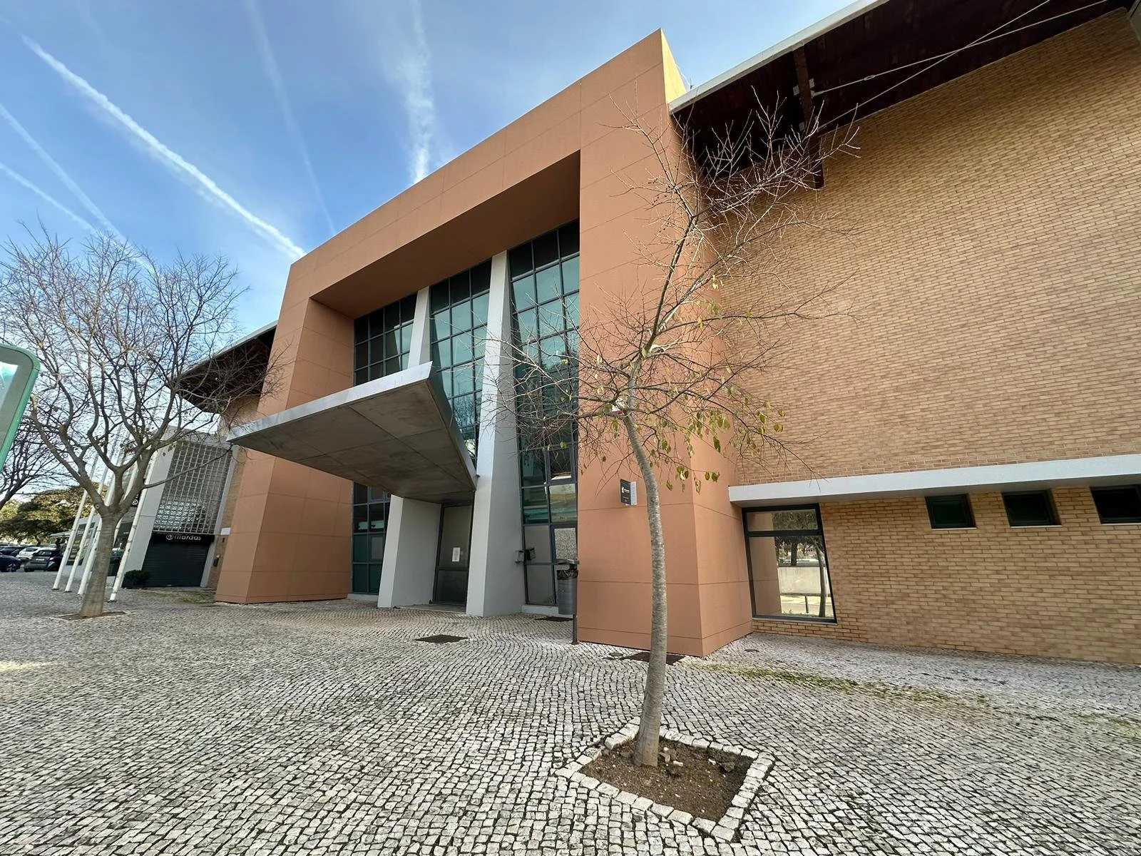 WhatsApp Image 2024-01-06 at 12.33.53.jpeg