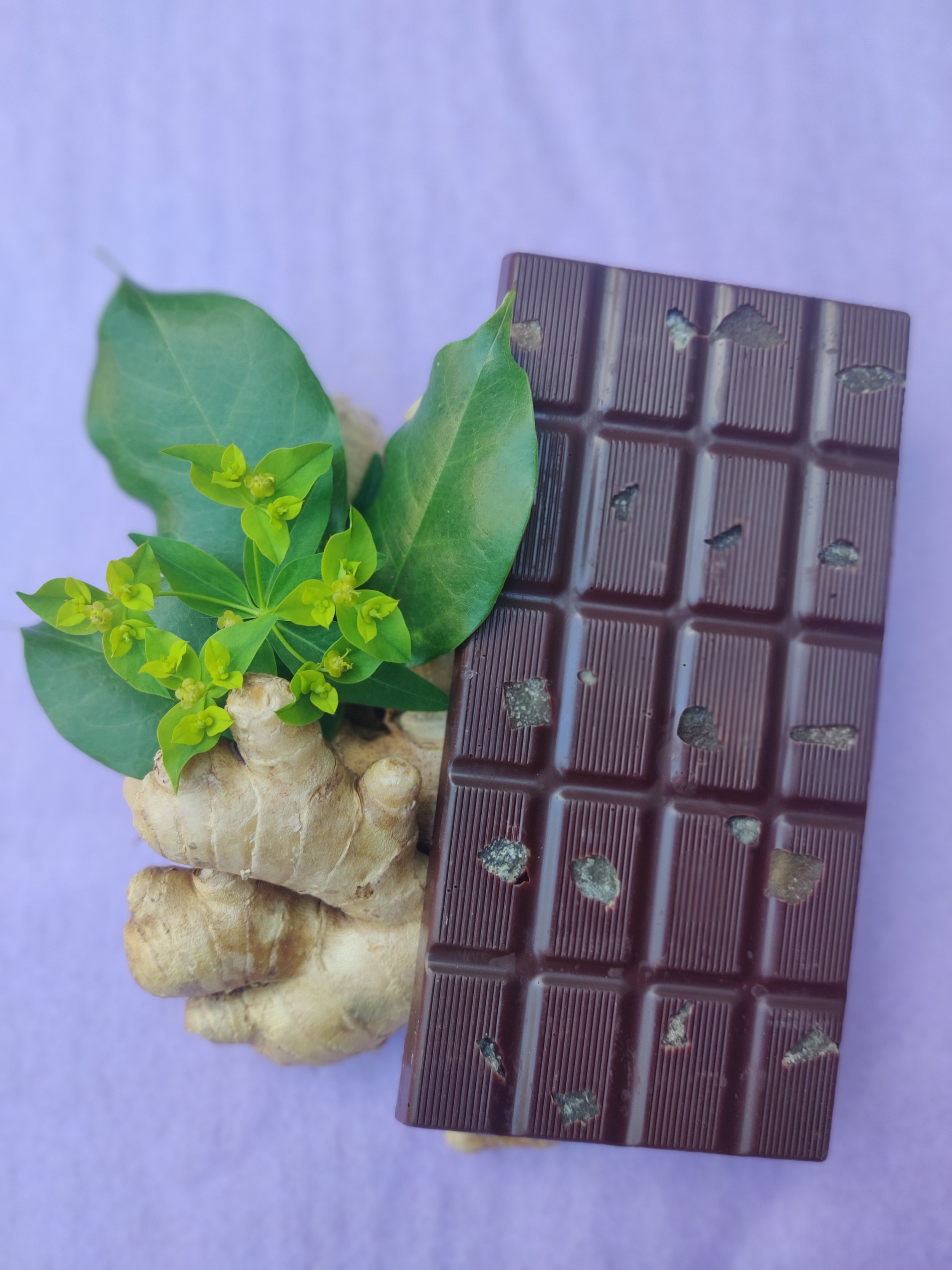 Tablette de chocolat cru, noir à 75%, bio, pure origine Pérou - gingembre confit