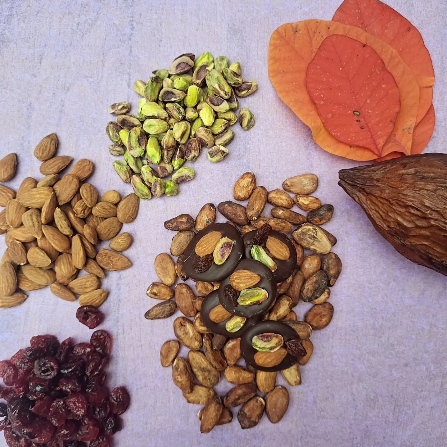 🍫✨ Nouveaut&eacute; chez @lechocolilas : les mendiants !

De petits bijoux chocolat&eacute;s &agrave; croquer en une bouch&eacute;e :
🌰 Pistache bio d&rsquo;Espagne
🌱 Amande bio fran&ccedil;aise
🍇 Raisin ou cranberry bio
Le tout pos&eacute; sur u