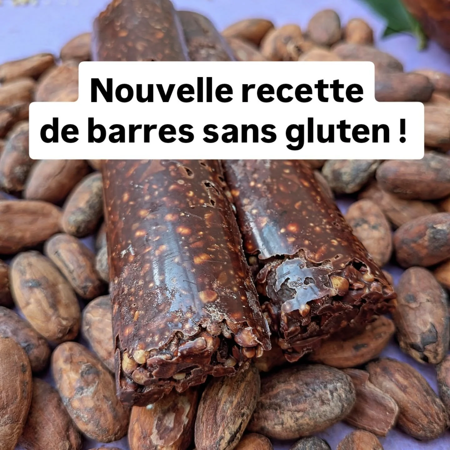 Nouvelle recette pour notre barre graines &amp; c&eacute;r&eacute;ales 🌾🍫

Nous avons remplac&eacute; l&rsquo;avoine par des graines de tournesol. R&eacute;sultat : nos barres sont d&eacute;sormais sans gluten 😋

Les graines utilis&eacute;es vienn
