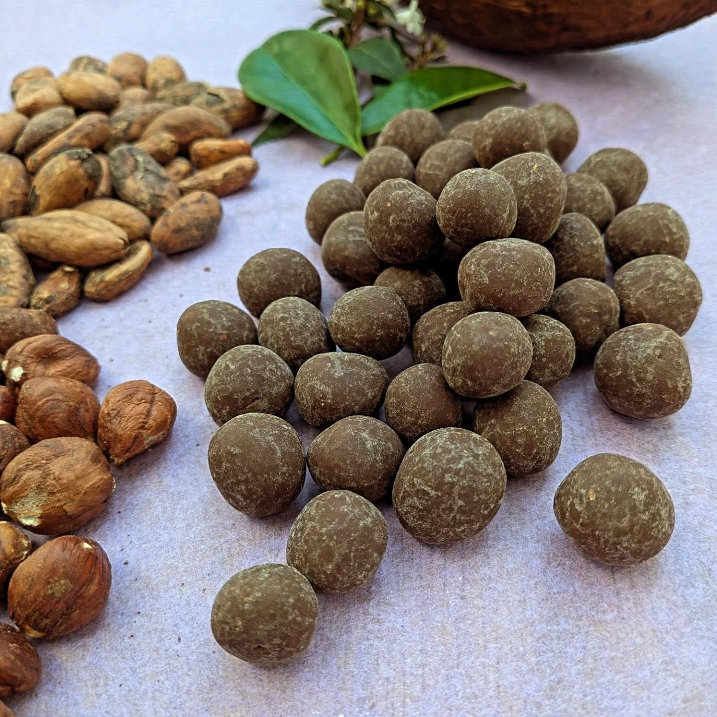 🍫 Voil&agrave; ma premi&egrave;re production de noisettes enrob&eacute;es avec ma nouvelle turbine ! 🌰

Apr&egrave;s quelques essais et quelques r&eacute;glages, je suis enfin arriv&eacute; au r&eacute;sultat que je cherchais. Je peux donc ajouter 