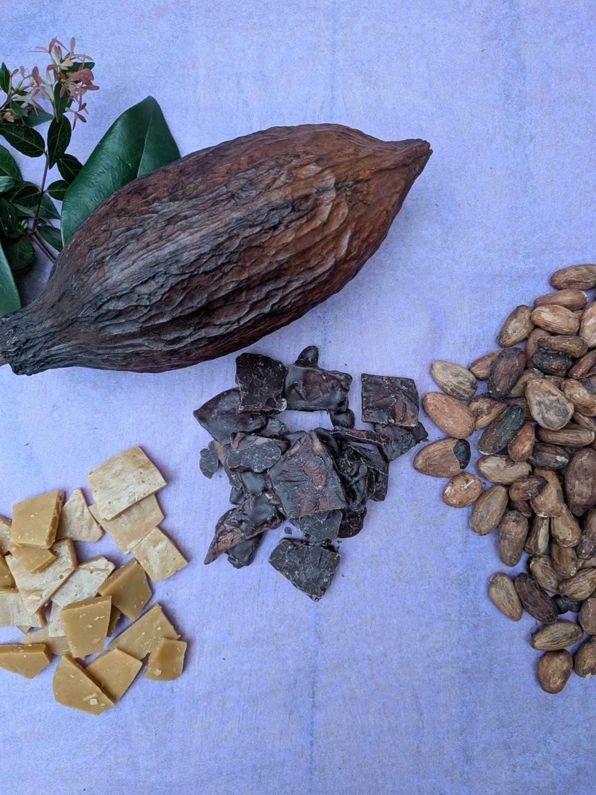 WhatsApp Image 2025-12-05 at 16.25.48 (2).jpeg