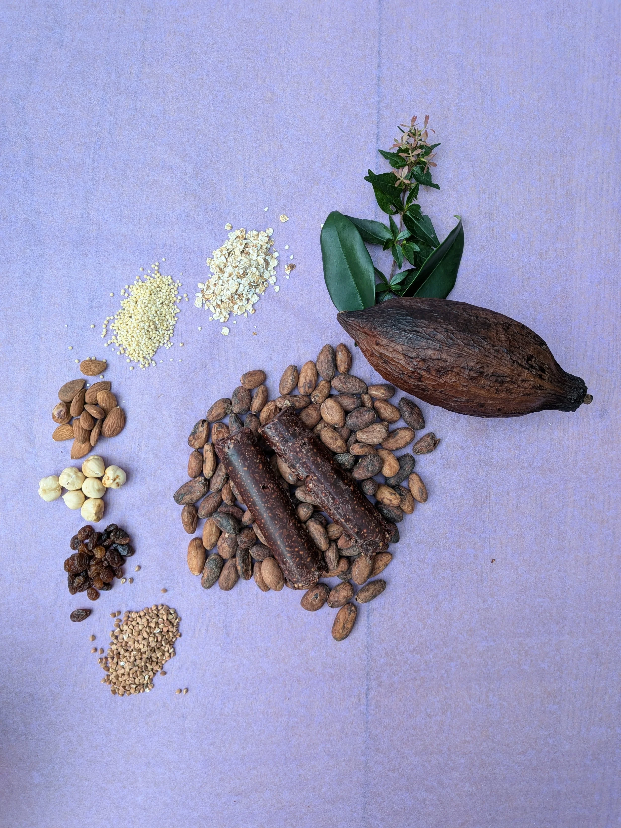 Barre graines et céréales