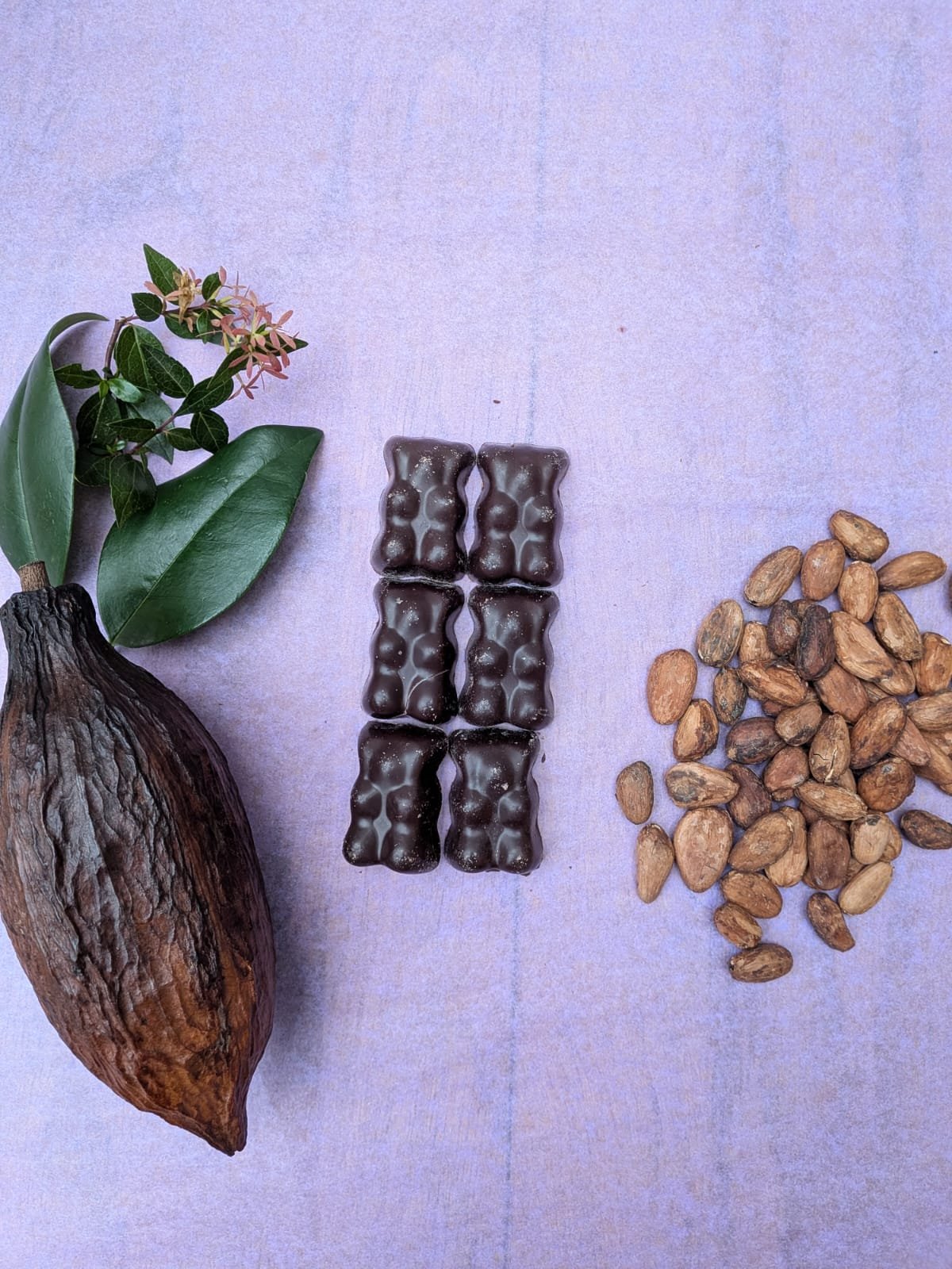 Oursons à la guimauve au chocolat noir 75%