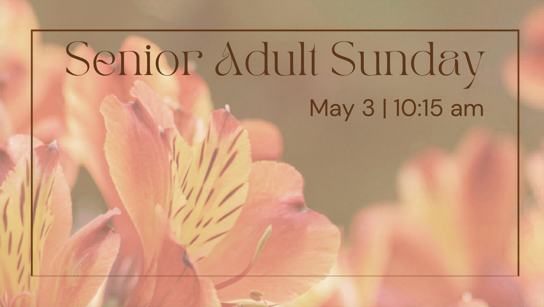 Senior Adult Sunday