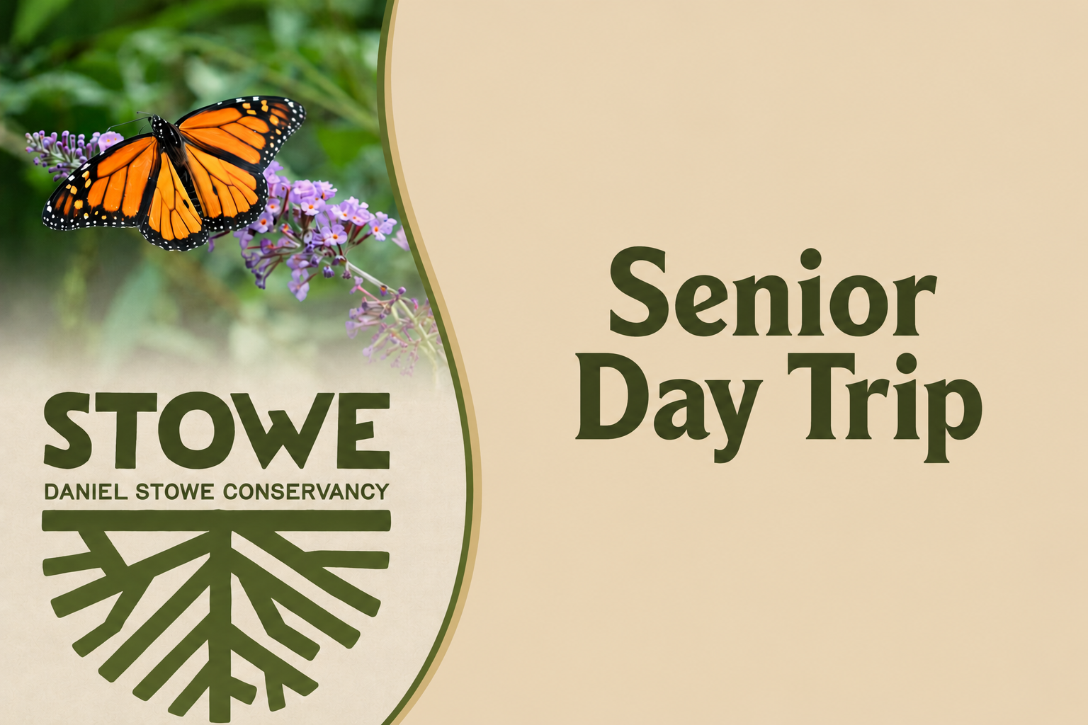 Senior Day Trip