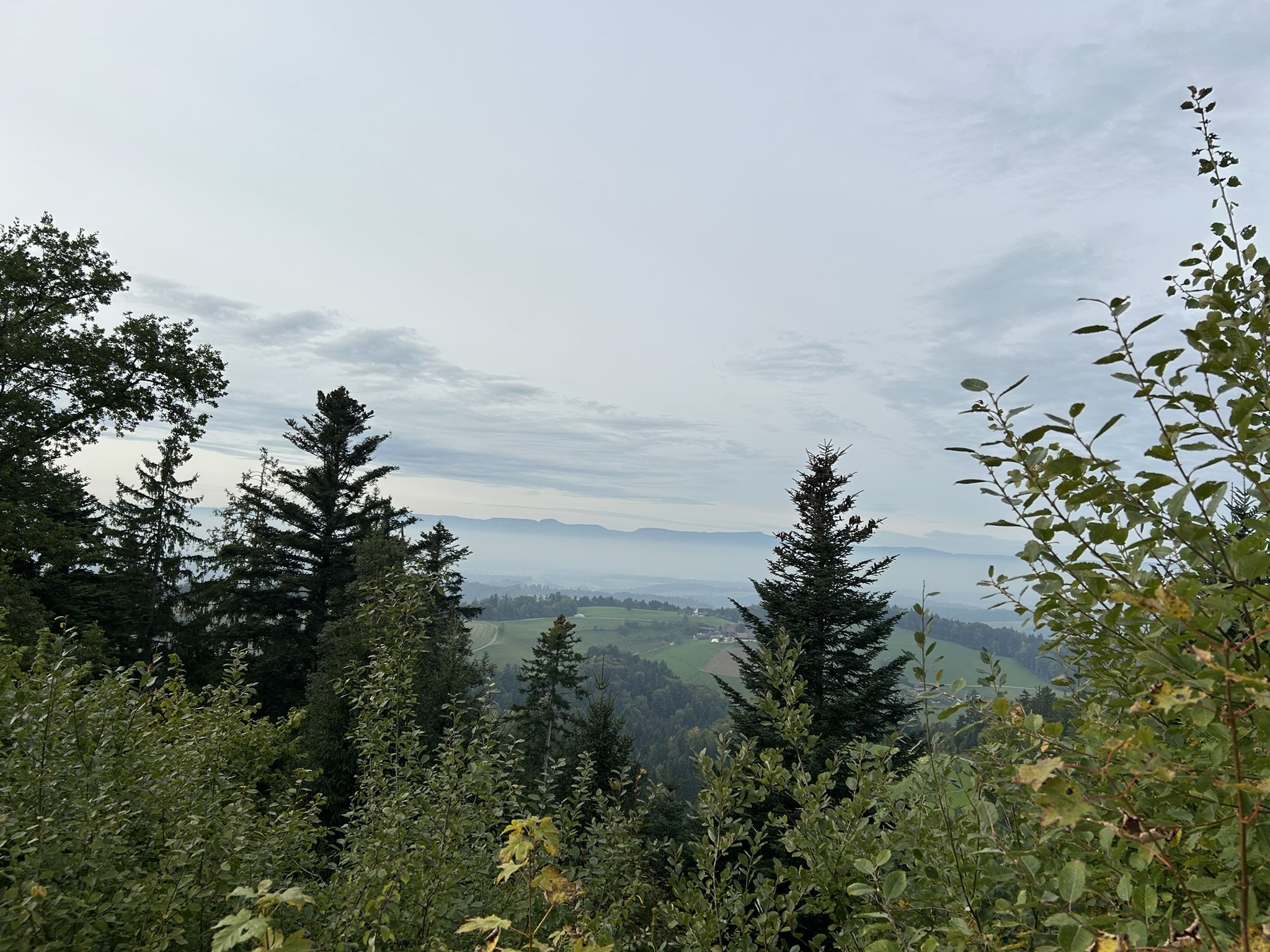 Aussicht von der Lueg.JPEG