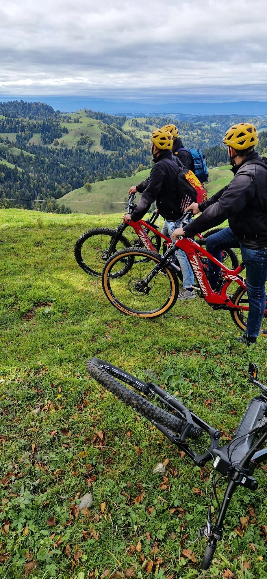 E-MTB mit Aussicht.jpg