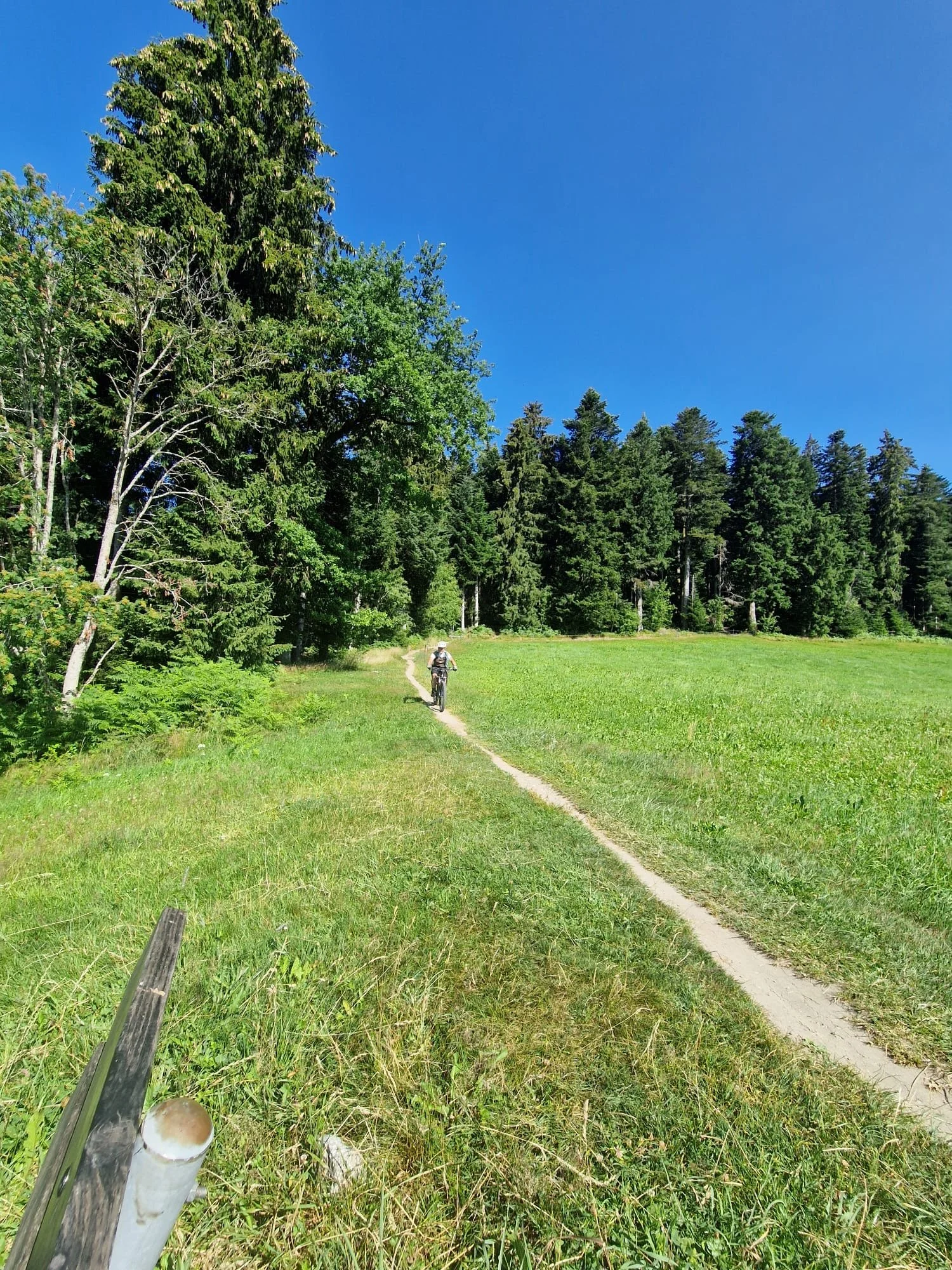 4a690fa8-6cc3-4318-a81f-627d3c737a5e.JPG