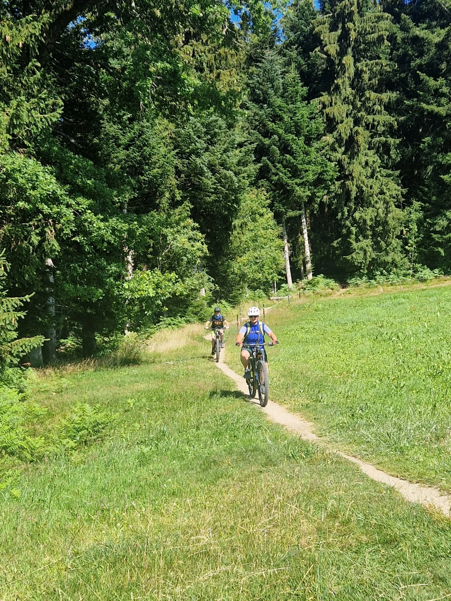 15133260-82a2-46ae-ab01-8f6f418d1637.JPG