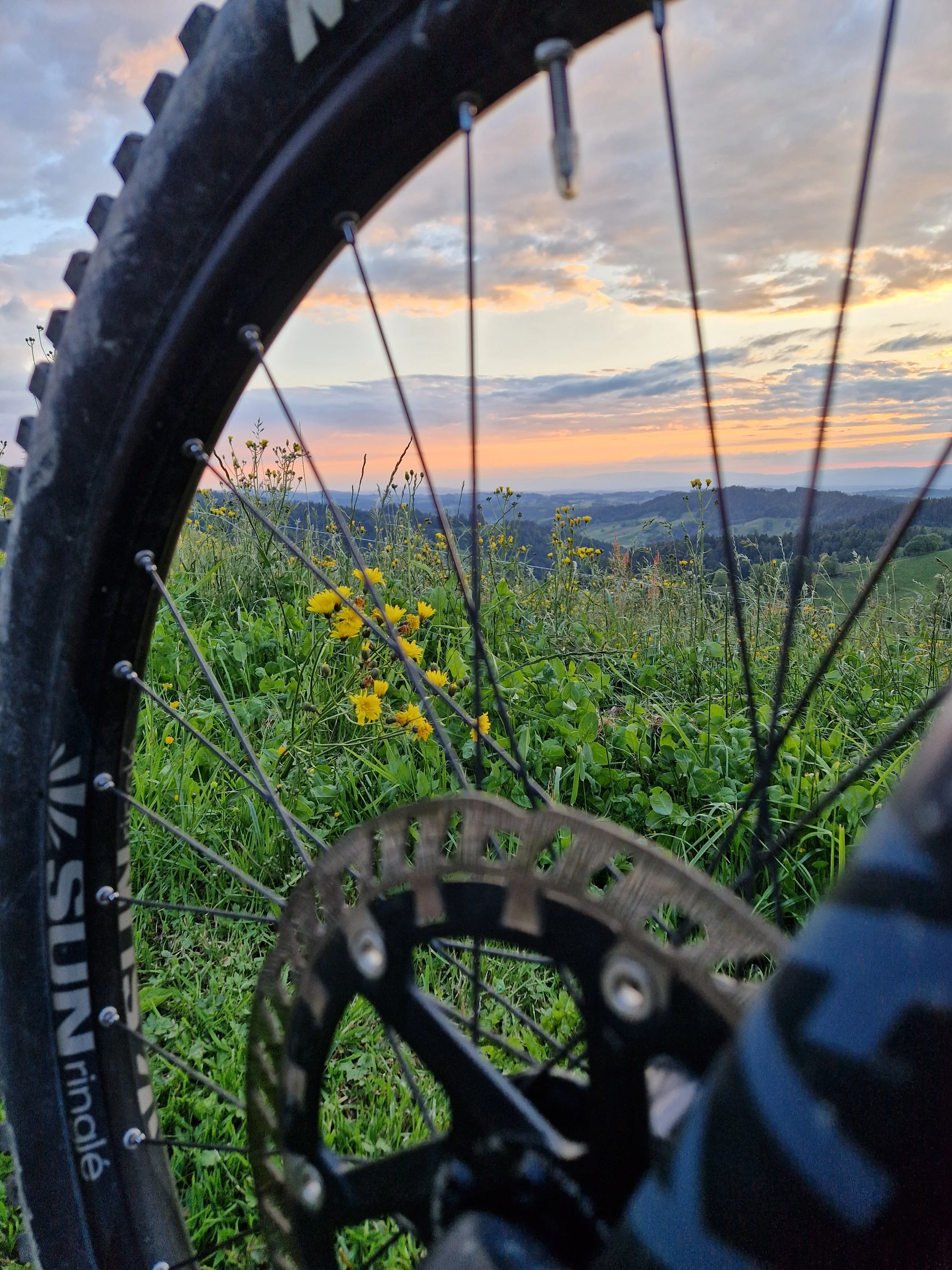 Fahrradreifen vor einer grünen Wiese mit gelben Blumen und einem Sonnenuntergang am Himmel im Hintergrund.