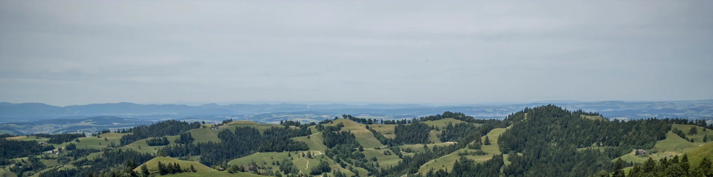 Blick auf grüne Hügel und Wälder unter bewölktem Himmel in einer ländlichen Gegend.