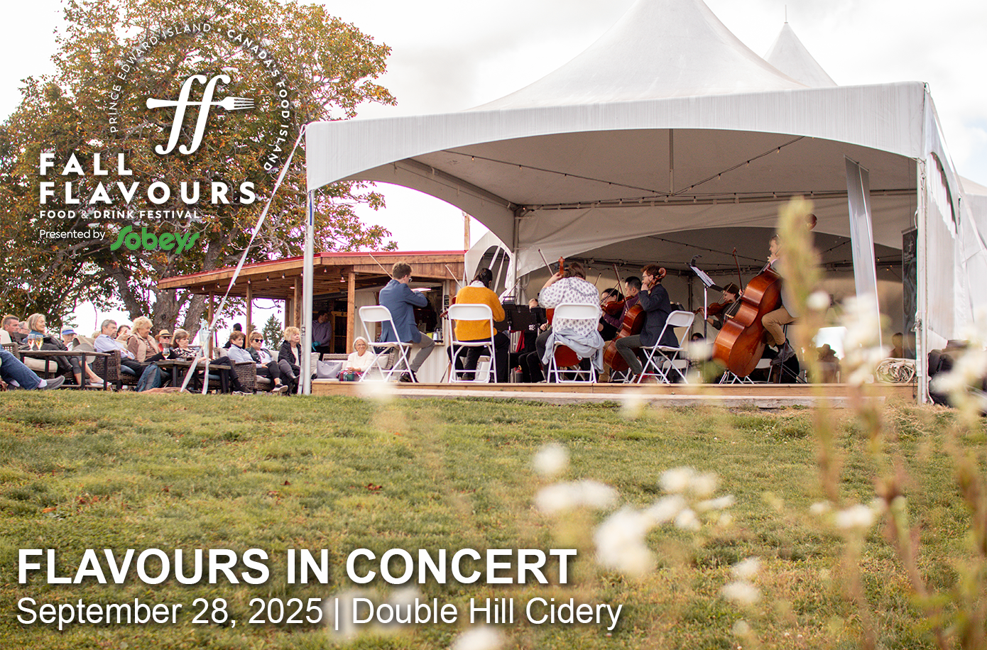 Flavours in Concert