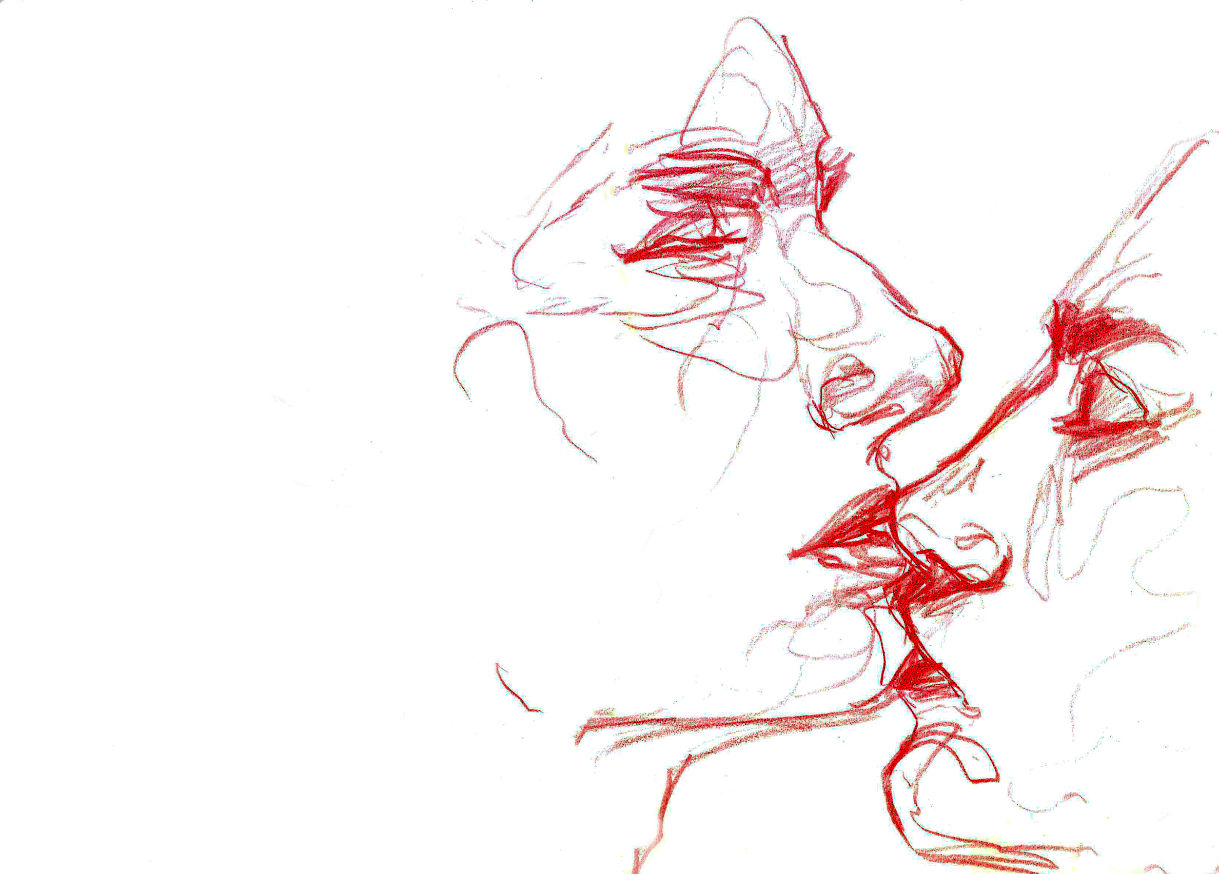 20240421170658281-1 copy.png