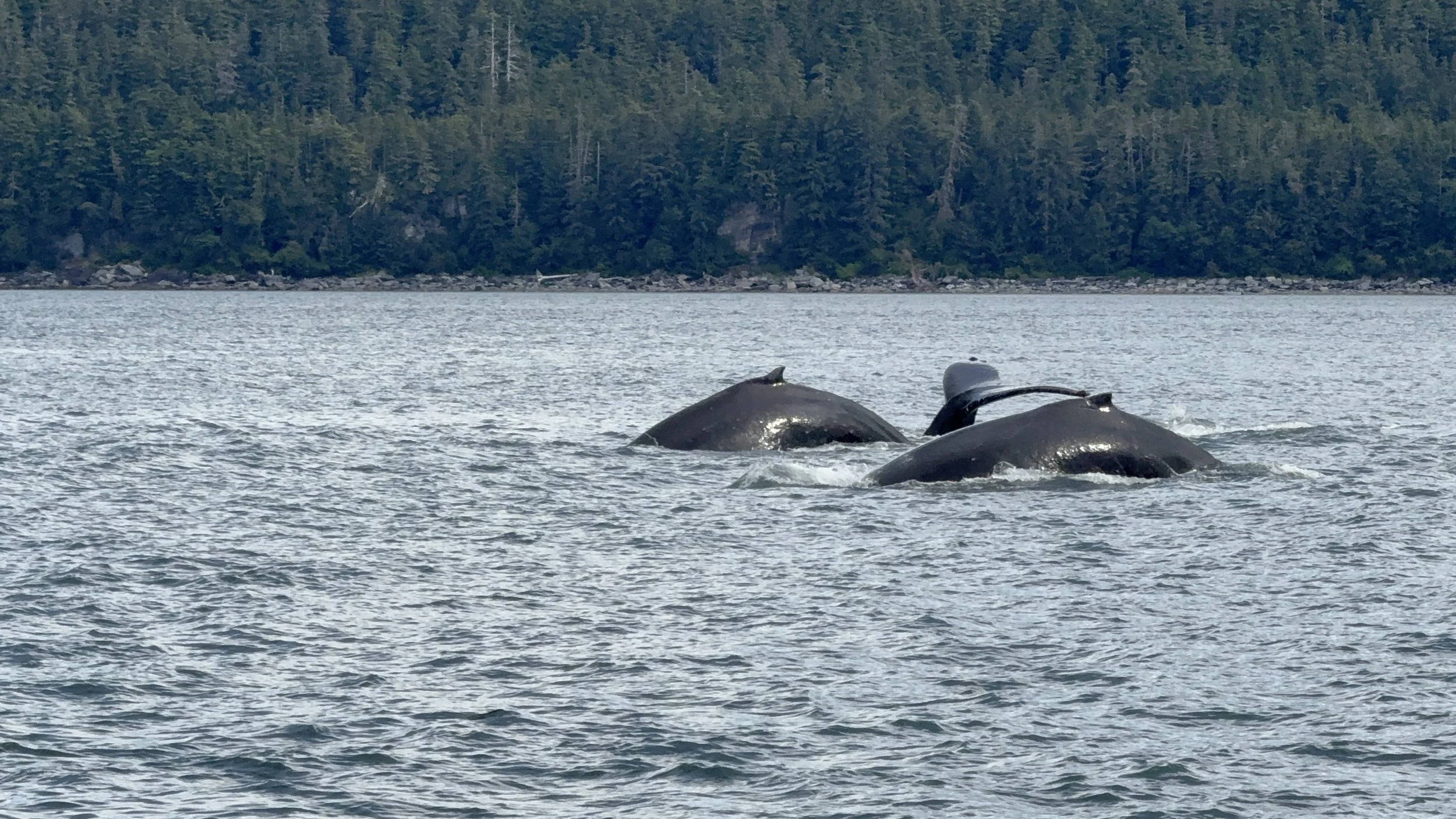 Alaska