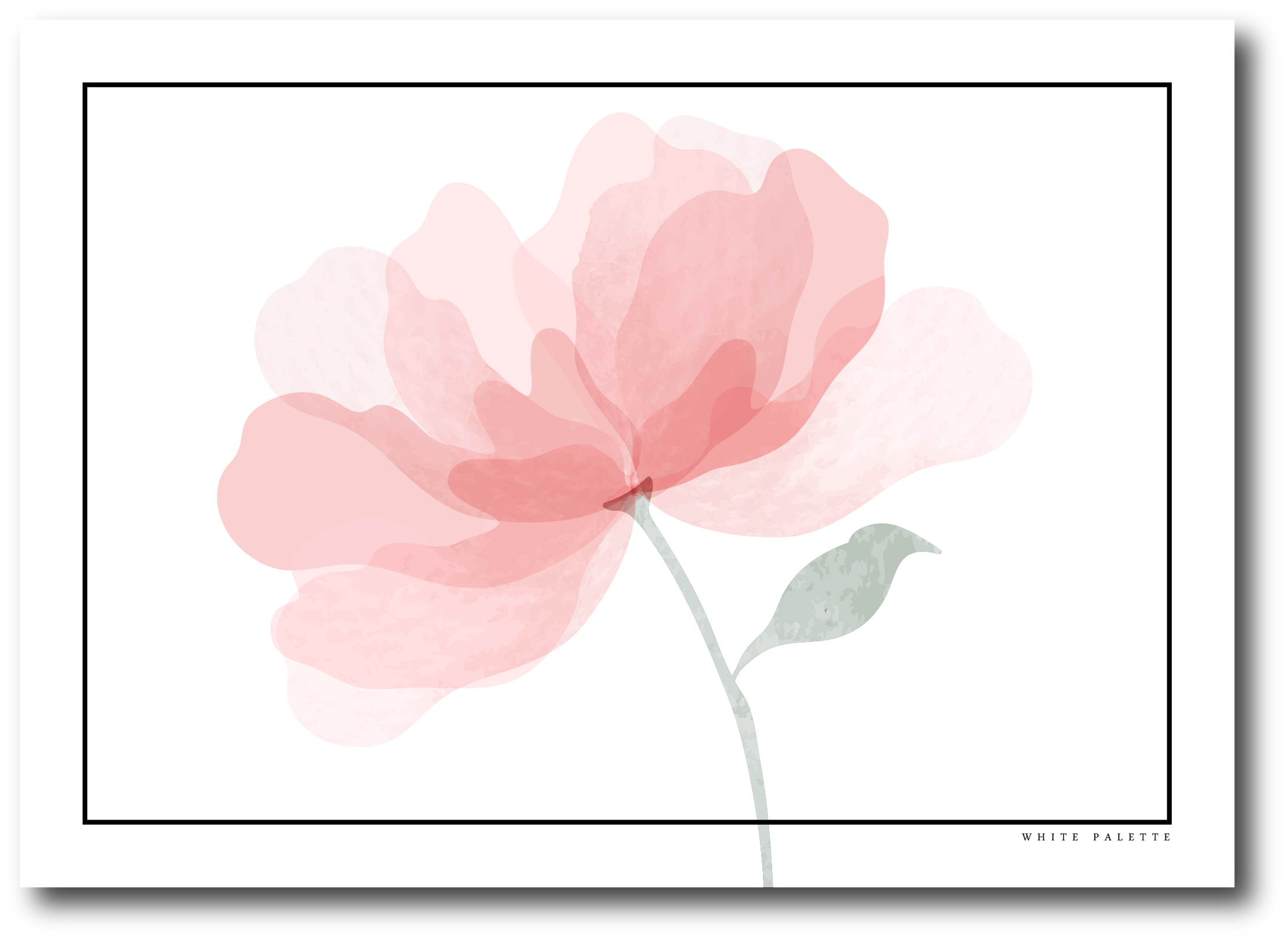 Flore Back.png