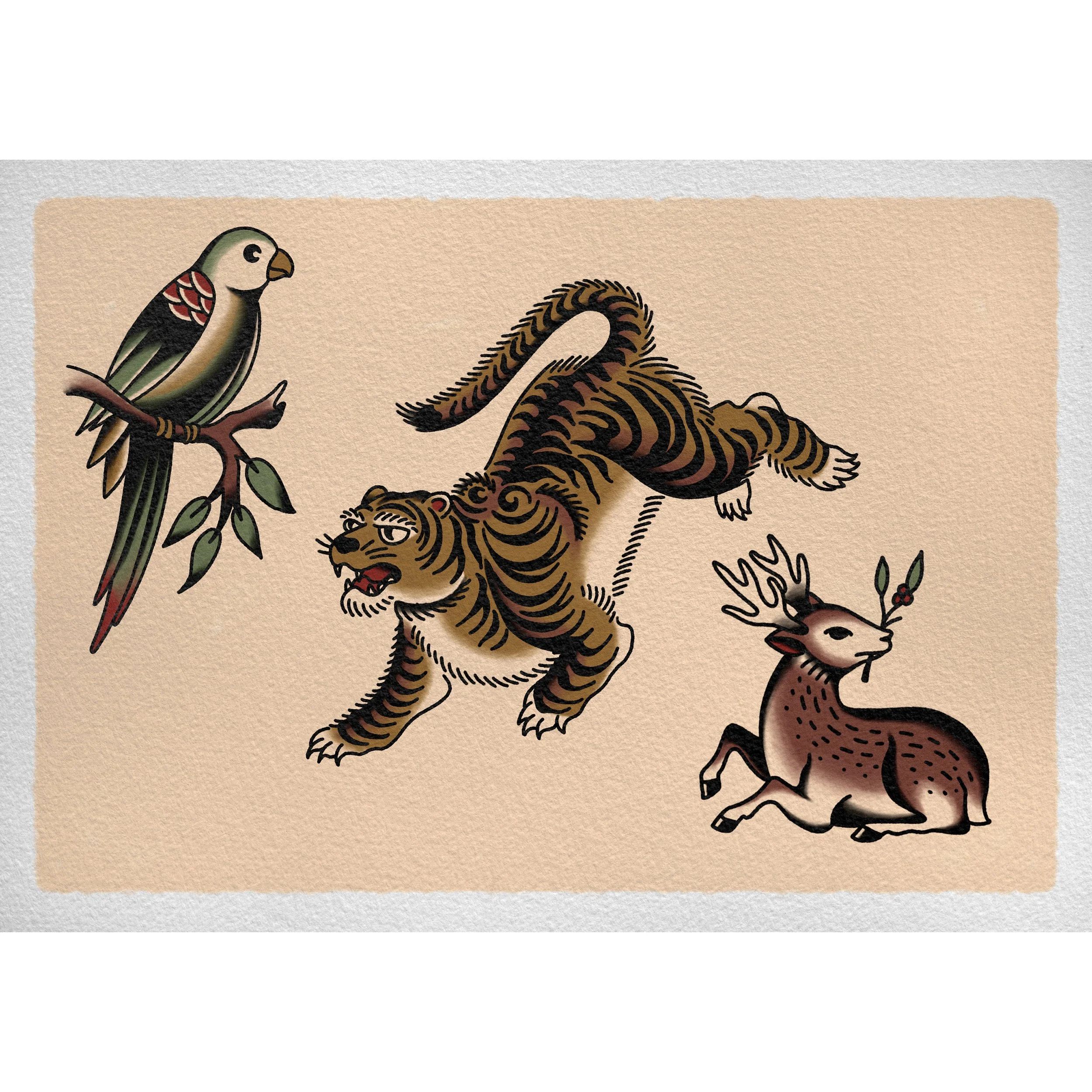 Tiger Flash Sheet 14x11