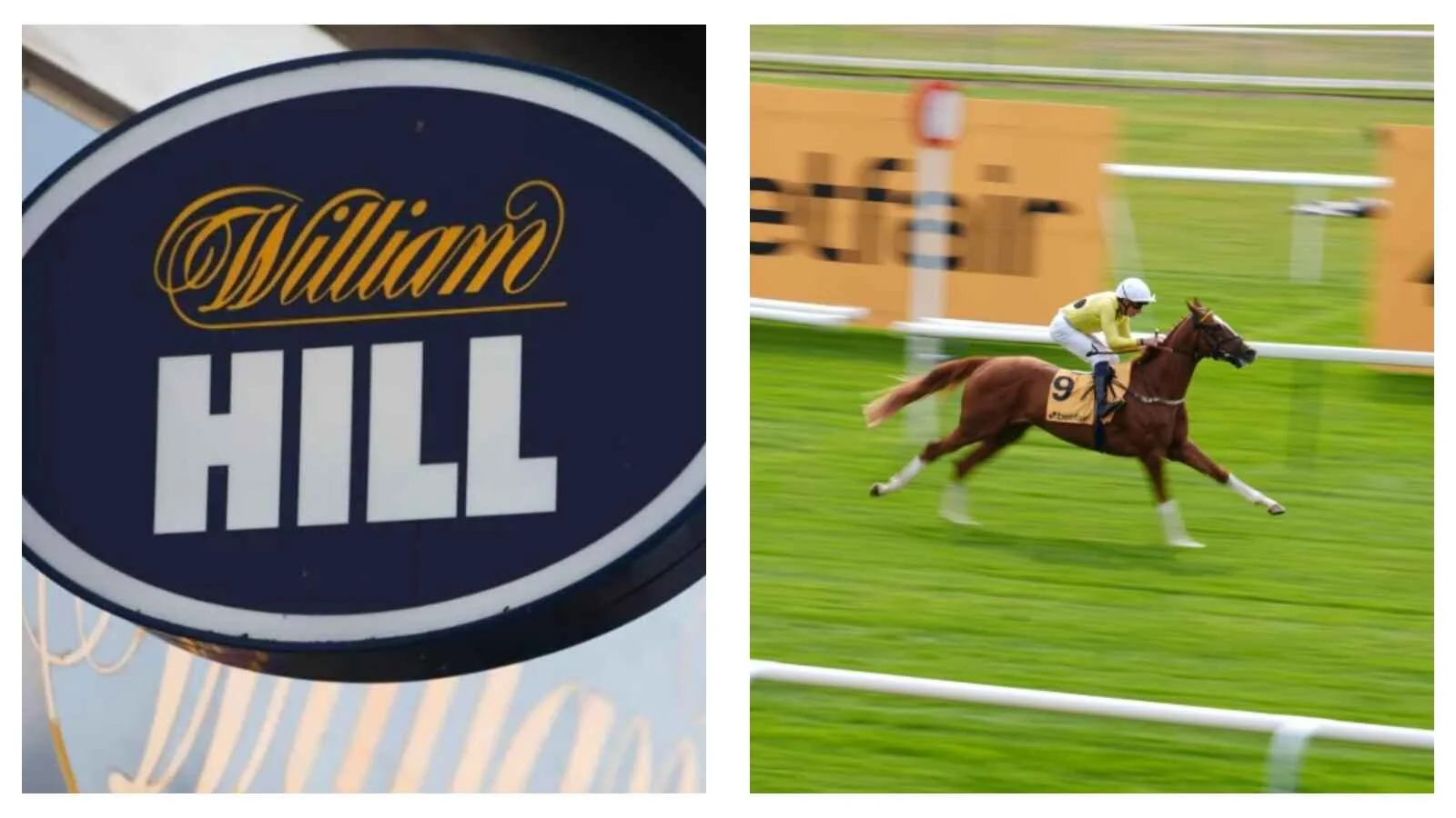 Horse racing news: Shrewd punter turns paltry 52p into nearly £12,000 by picking seven winners