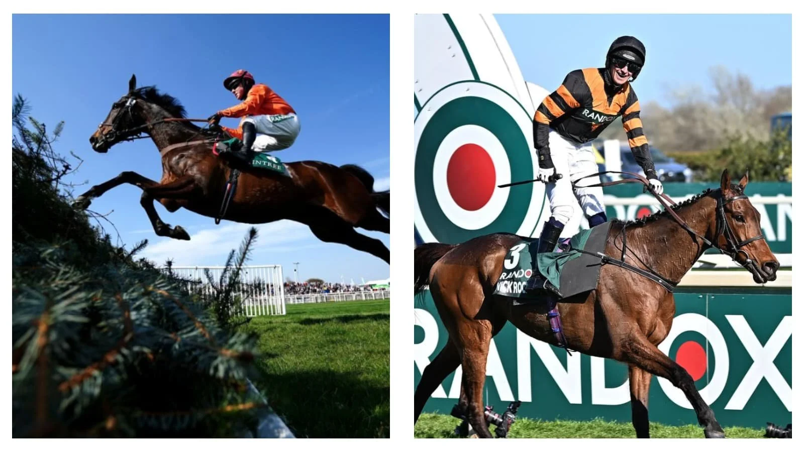 Grand National 2026: Complete guide to all 34 horses set to compete at Aintree Racecourse