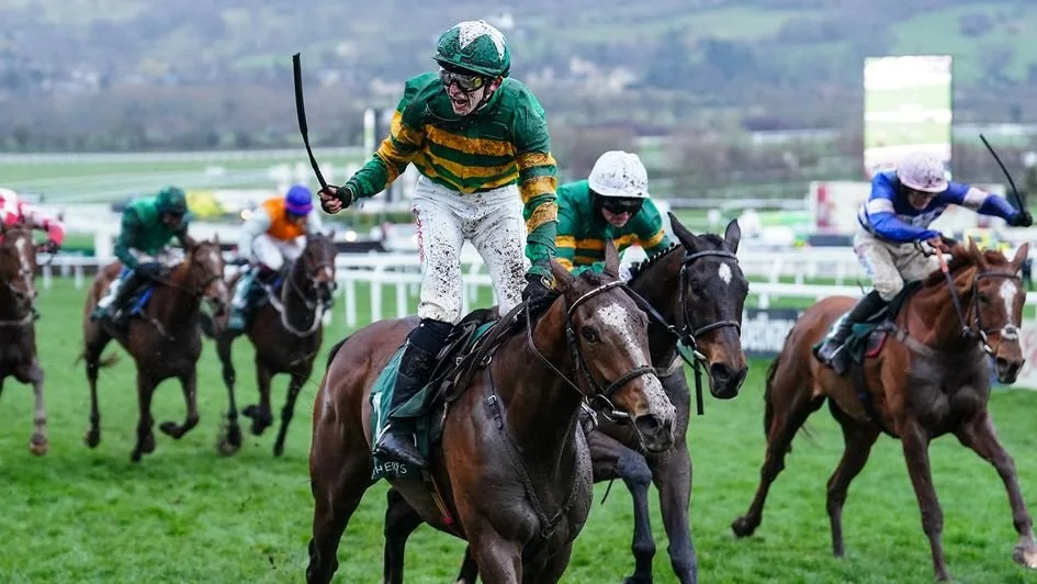 Timeform questions decision to deny A Dream To Share a handicap mark
