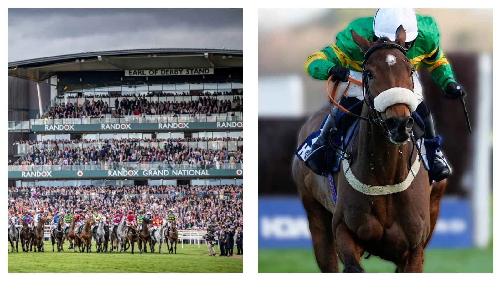 Horse racing news: Iroko has bookies sweating as Grand National weights announced by William Hill
