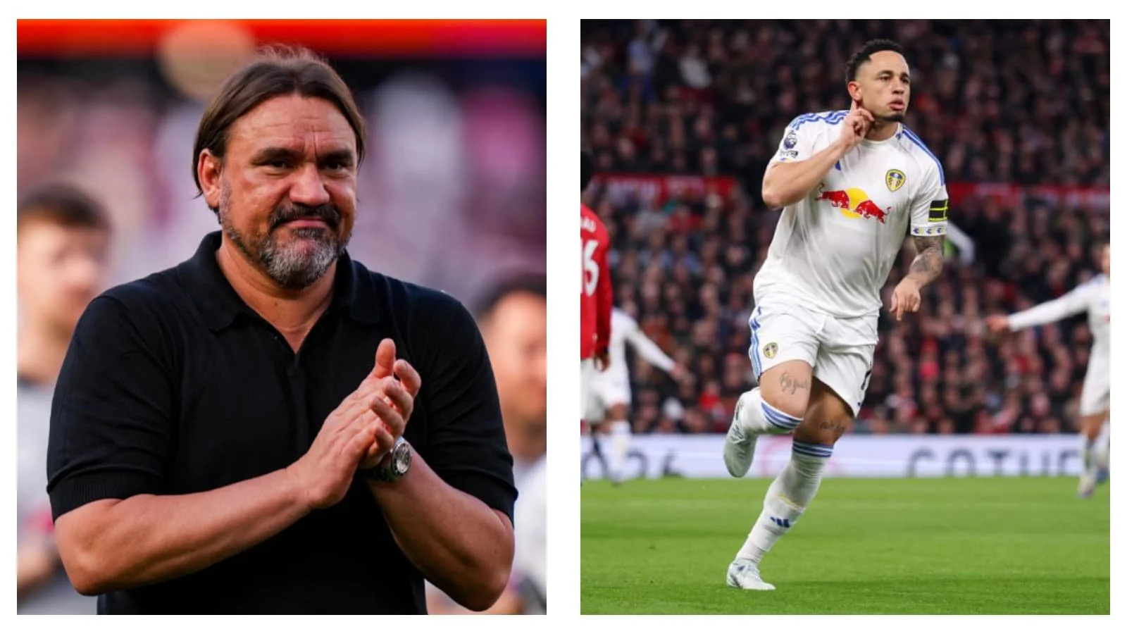Premier League news: Five key factors that helped Daniel Farke and Leeds United avoid relegation
