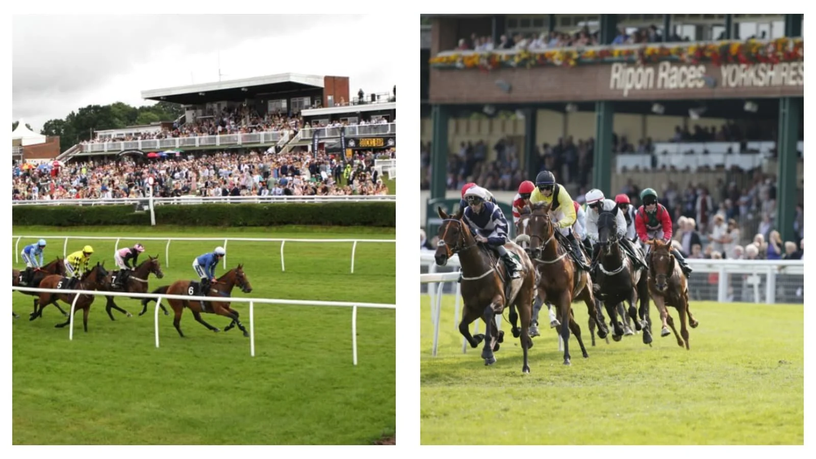 ITV horse racing tips and best bets for Newbury, Market Rasen and Ripon on Saturday, July 18