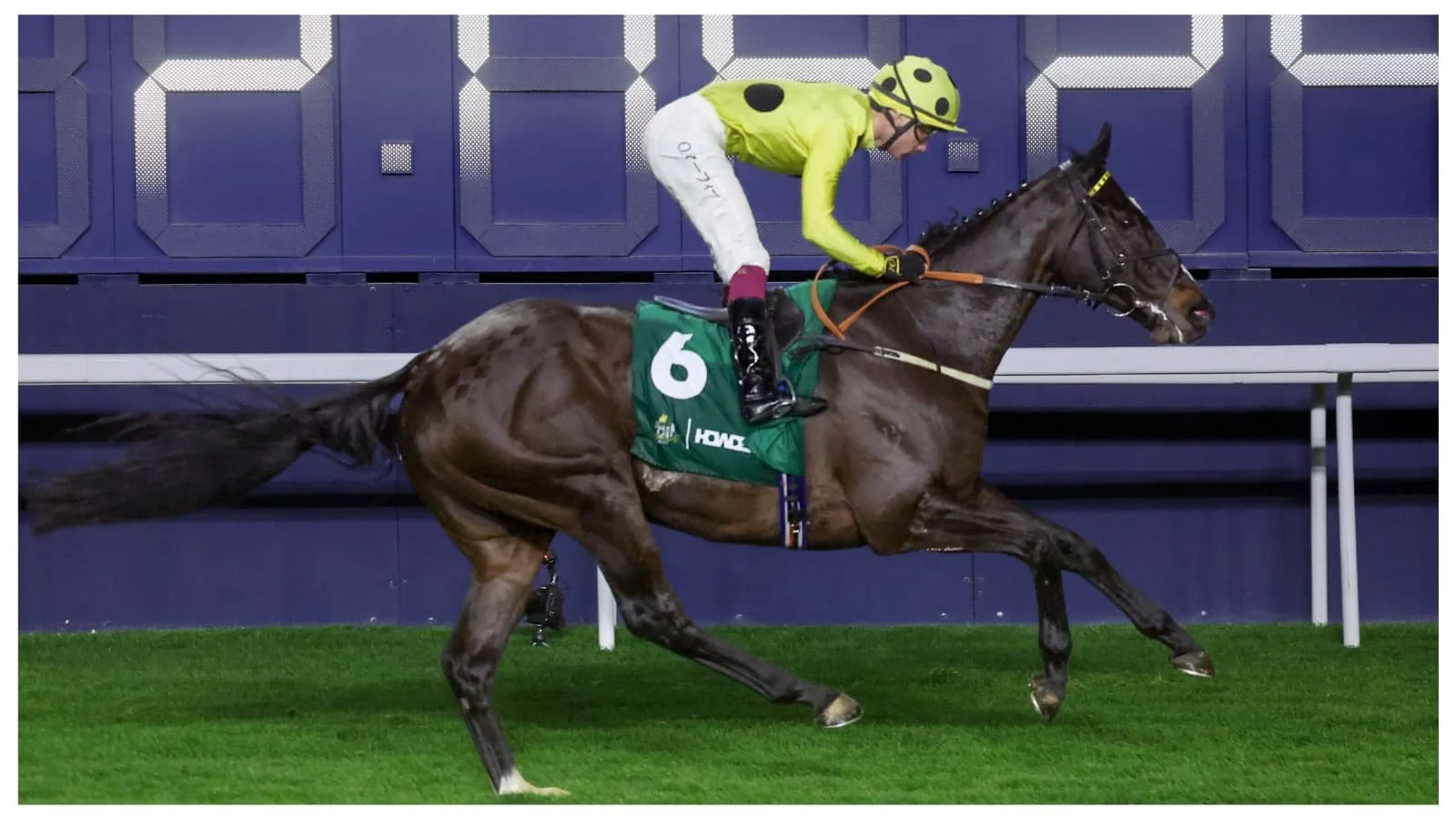 Horse racing news: Royal Champion takes on Romantic Warrior, Masquerade Ball in FWD QEII Cup