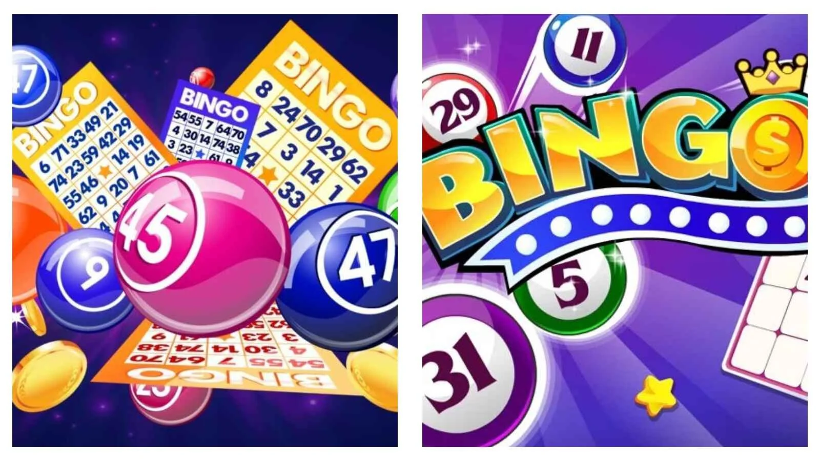 Interactive Bingo Platforms Are Attracting a New Generation of Sports Fans
