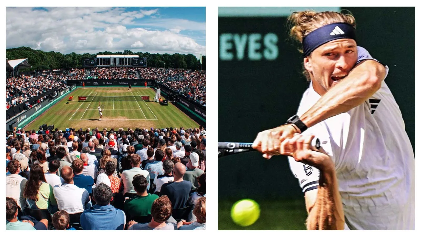 ATP grass court season, week two: Underdog victory for Francisco Cerundolo at Queen’s; Frances Tiafoe triumphs at Halle