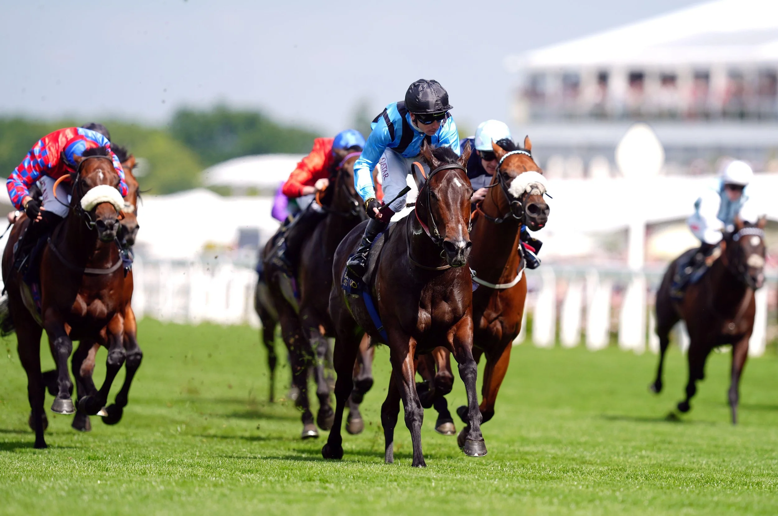 Horse racing news: Aussie sprinter Asfoora 4lb clear of King George rivals in Timeform ratings