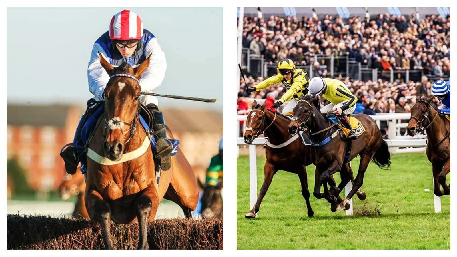 Cheltenham Festival 2026 day one: Tips for televised races on ITV