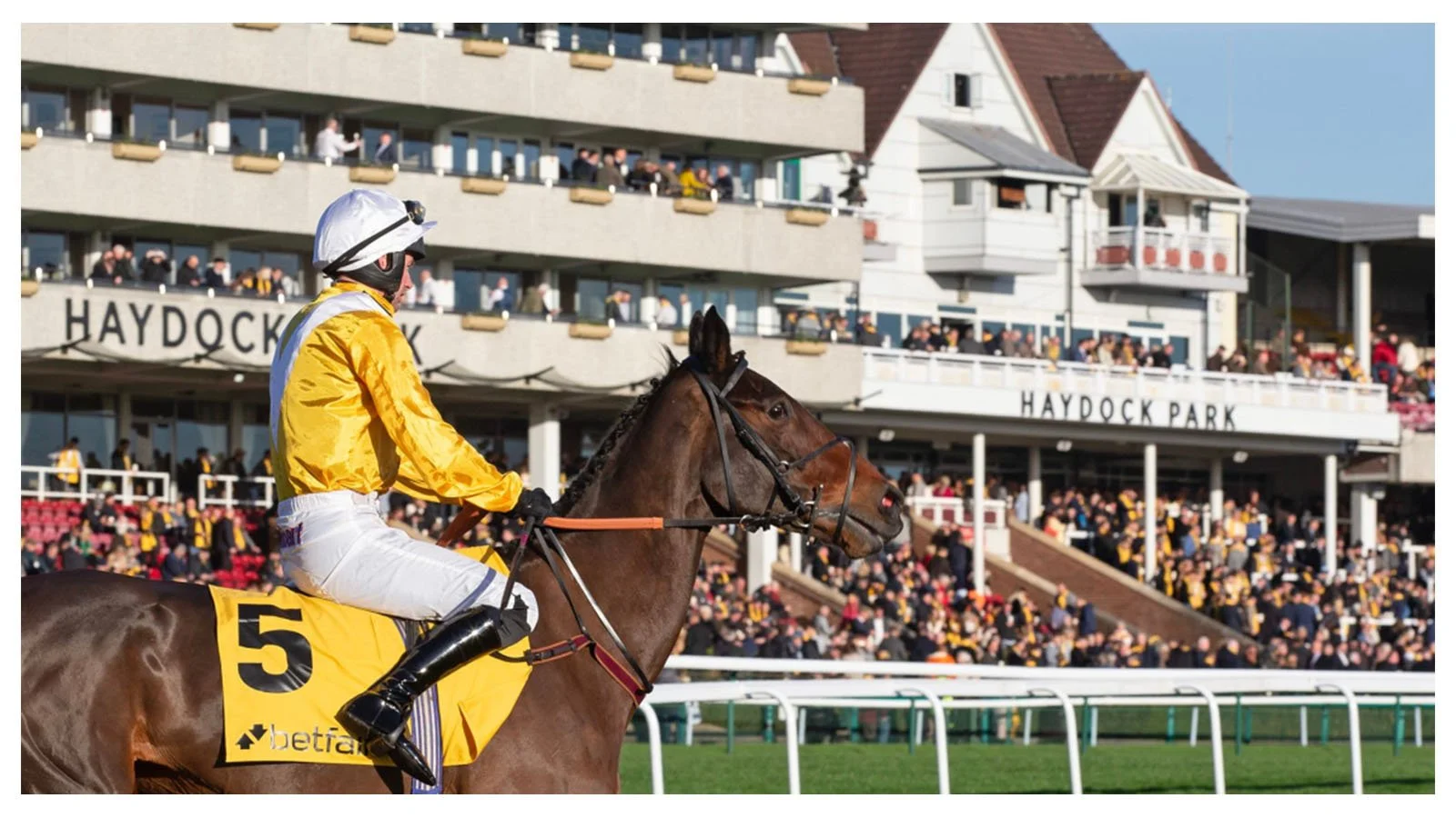 Old Gold Racing news: Lucinda Russell: Apple Away heading to the Betfair Chase