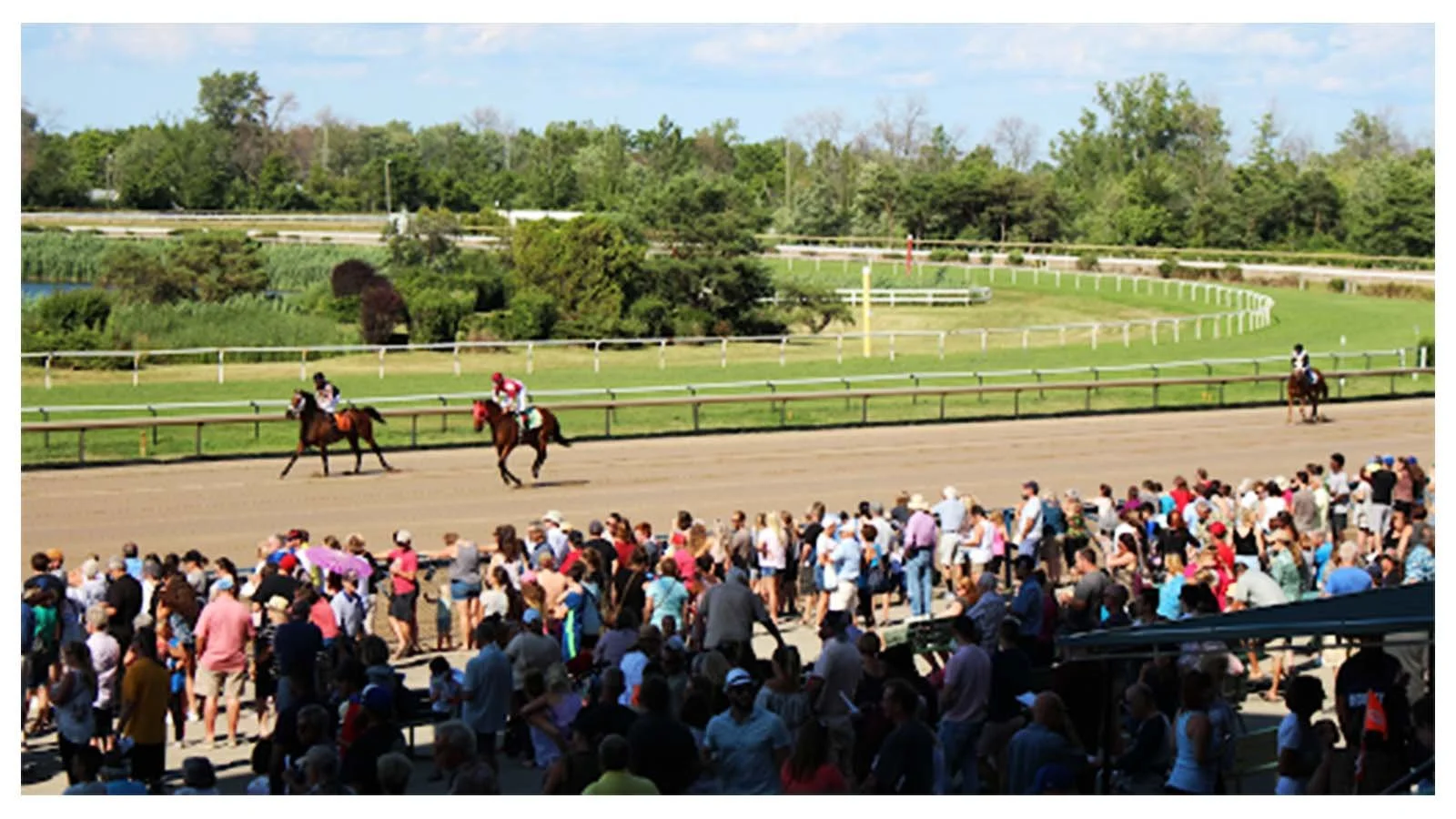 Kentucky Derby Odds Breakdown: Leading Horses to Watch on Race Day