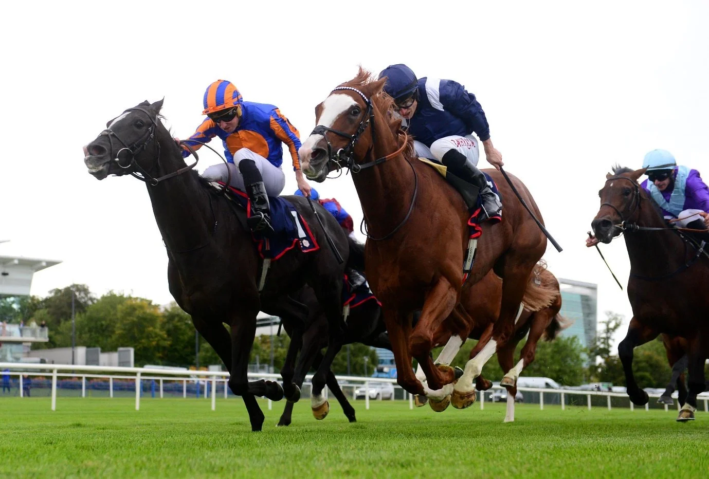 Horse racing news: Seven Group 1s across three race days as World Pool returns to Ireland, Australia