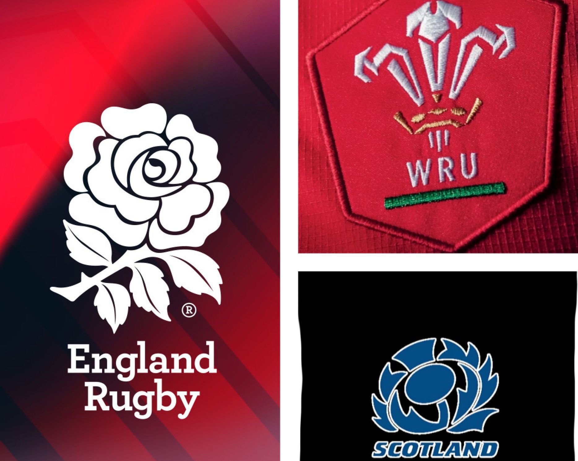 Autumn internationals 2024 Score predictions for England, Scotland and