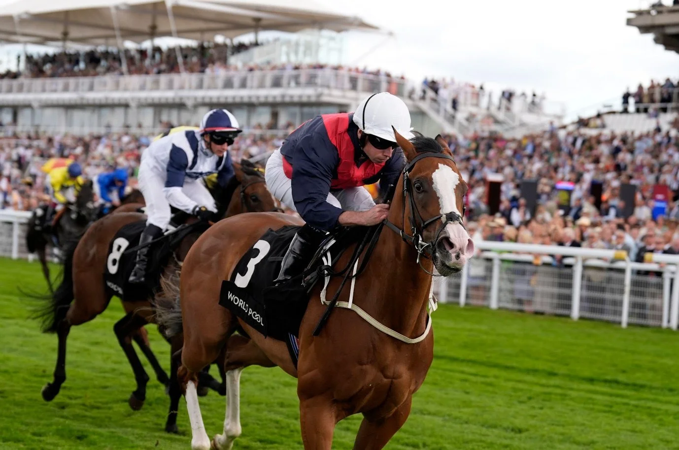 Weight allowance gives juveniles a generous edge in the Nunthorpe, say Timeform