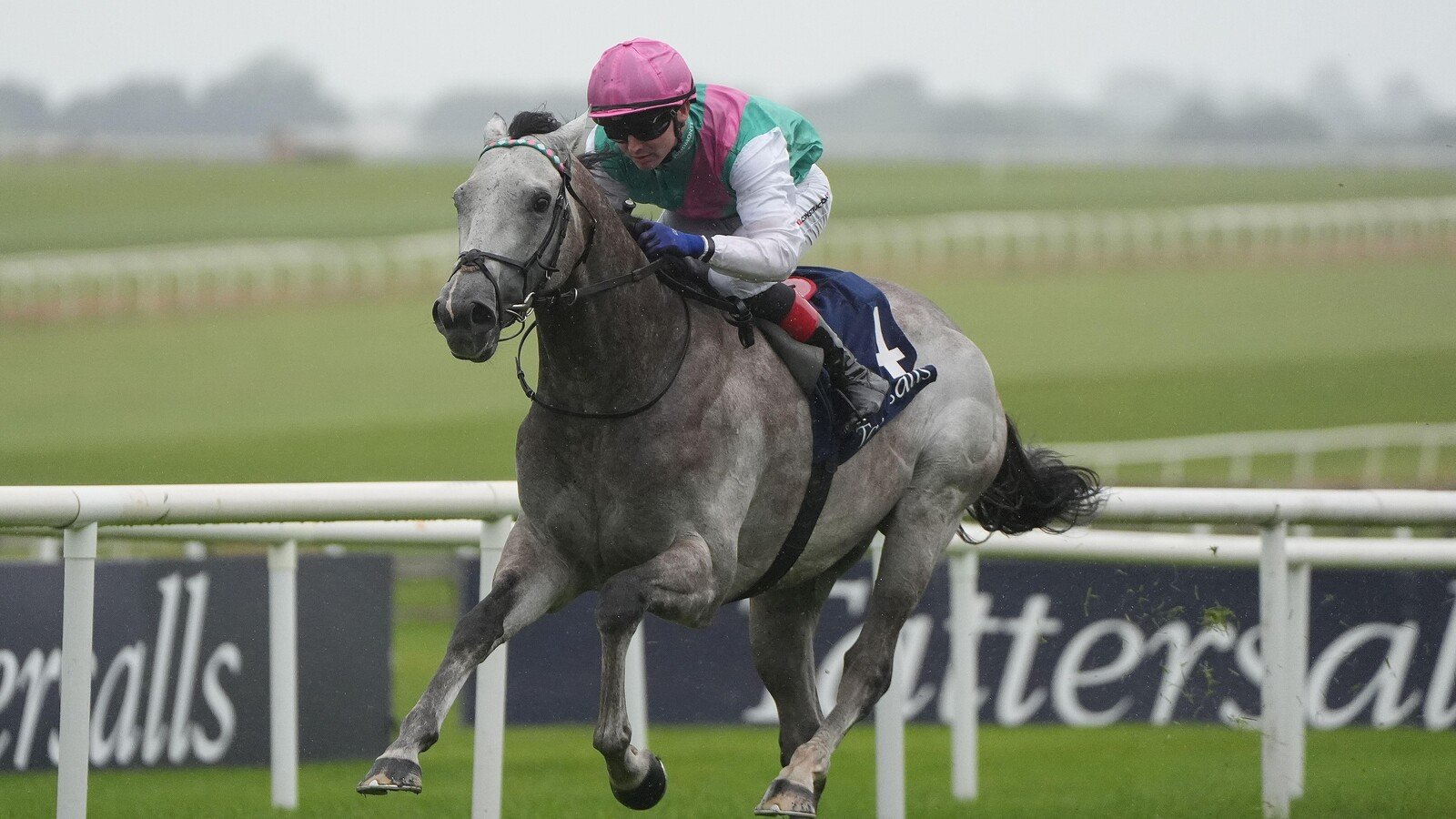Horse racing news: Irish Guineas win puts Field of Gold ahead of Ruling Court on Timeform ratings