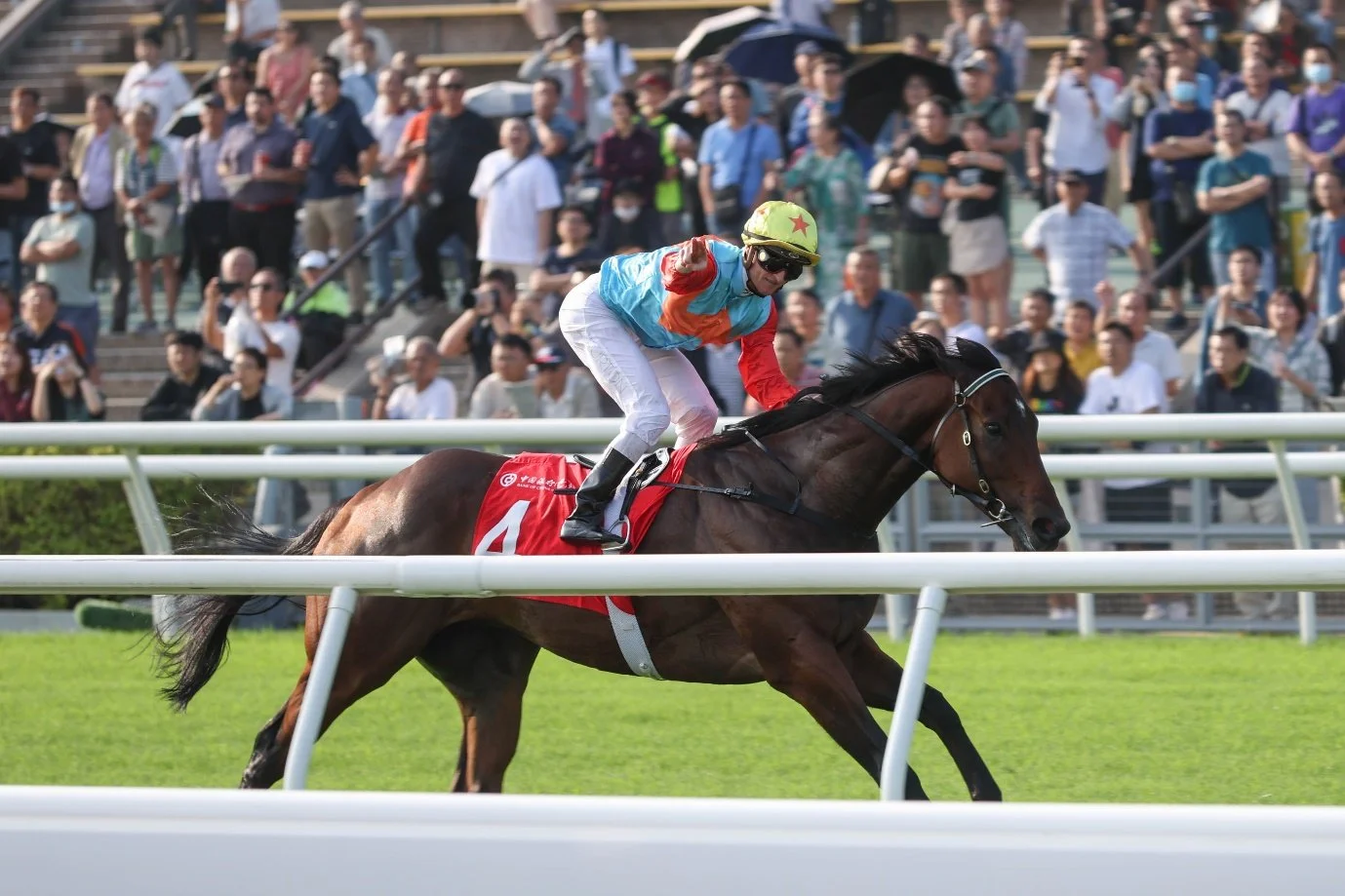 Horse racing news: Ka Ying Rising “back in very good form” ahead of Sha Tin season-opener