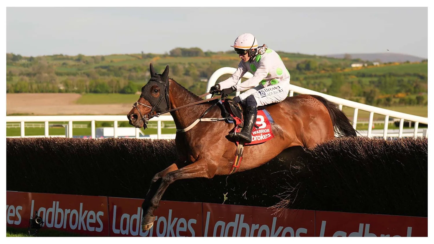Gaelic Warrior enhances Timeform rating to 180 following Punchestown ...