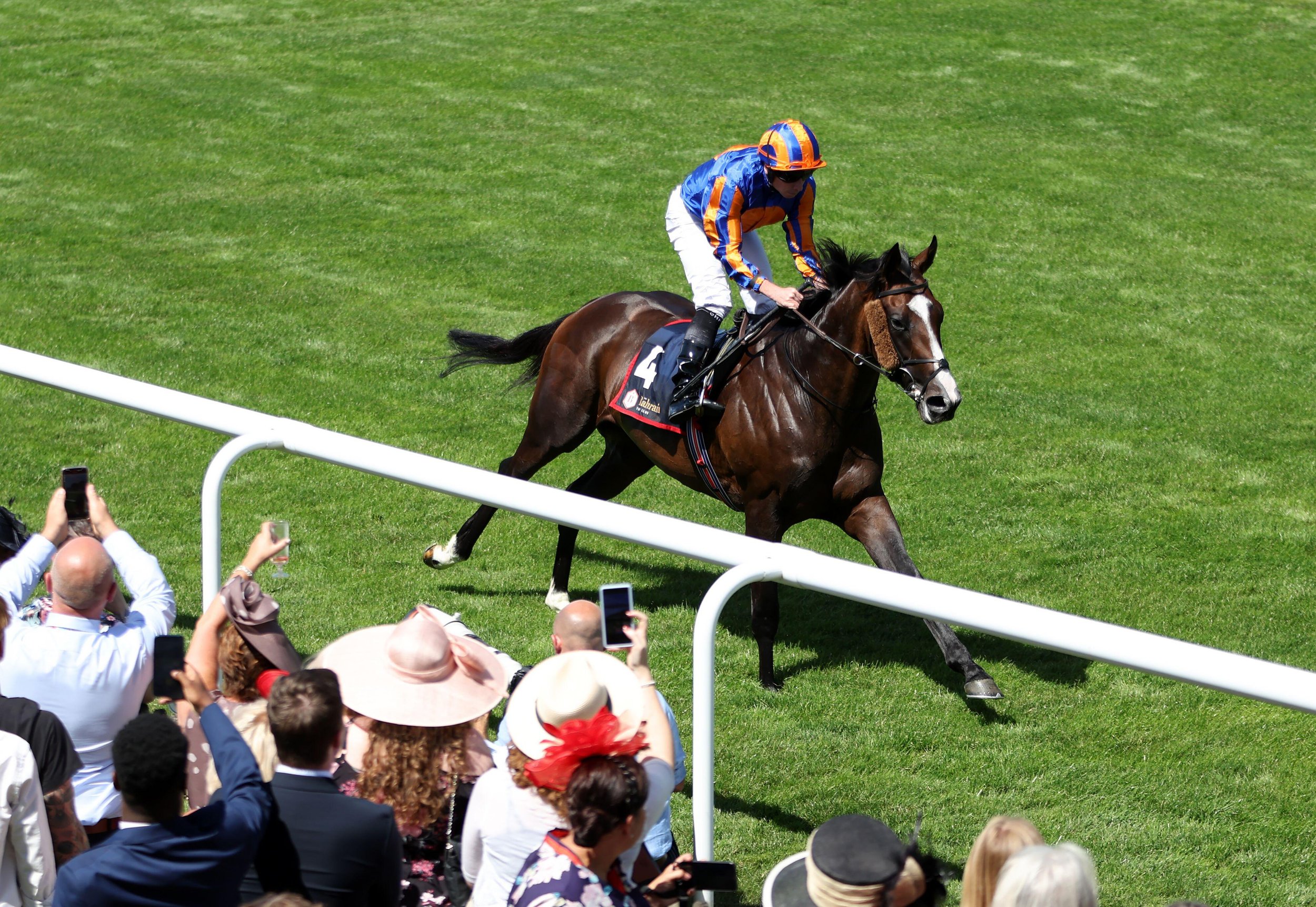 Scandinavia emerges as major Goodwood Cup contender after dominant Bahrain Trophy win