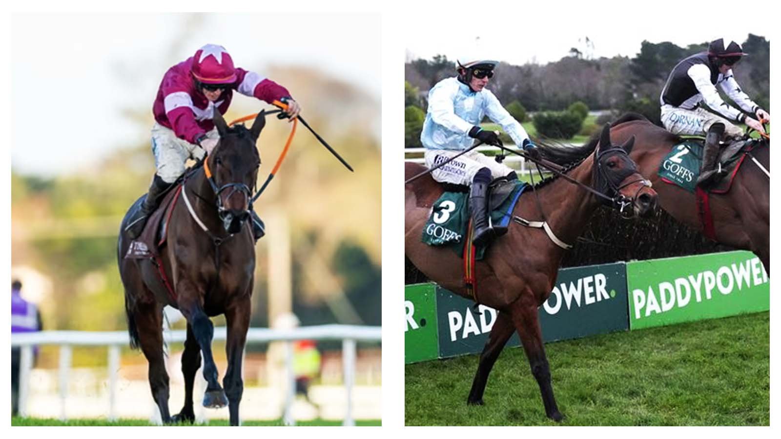 What Cheltenham Festival clues have been uncovered from 2026’s Dublin Racing Festival?